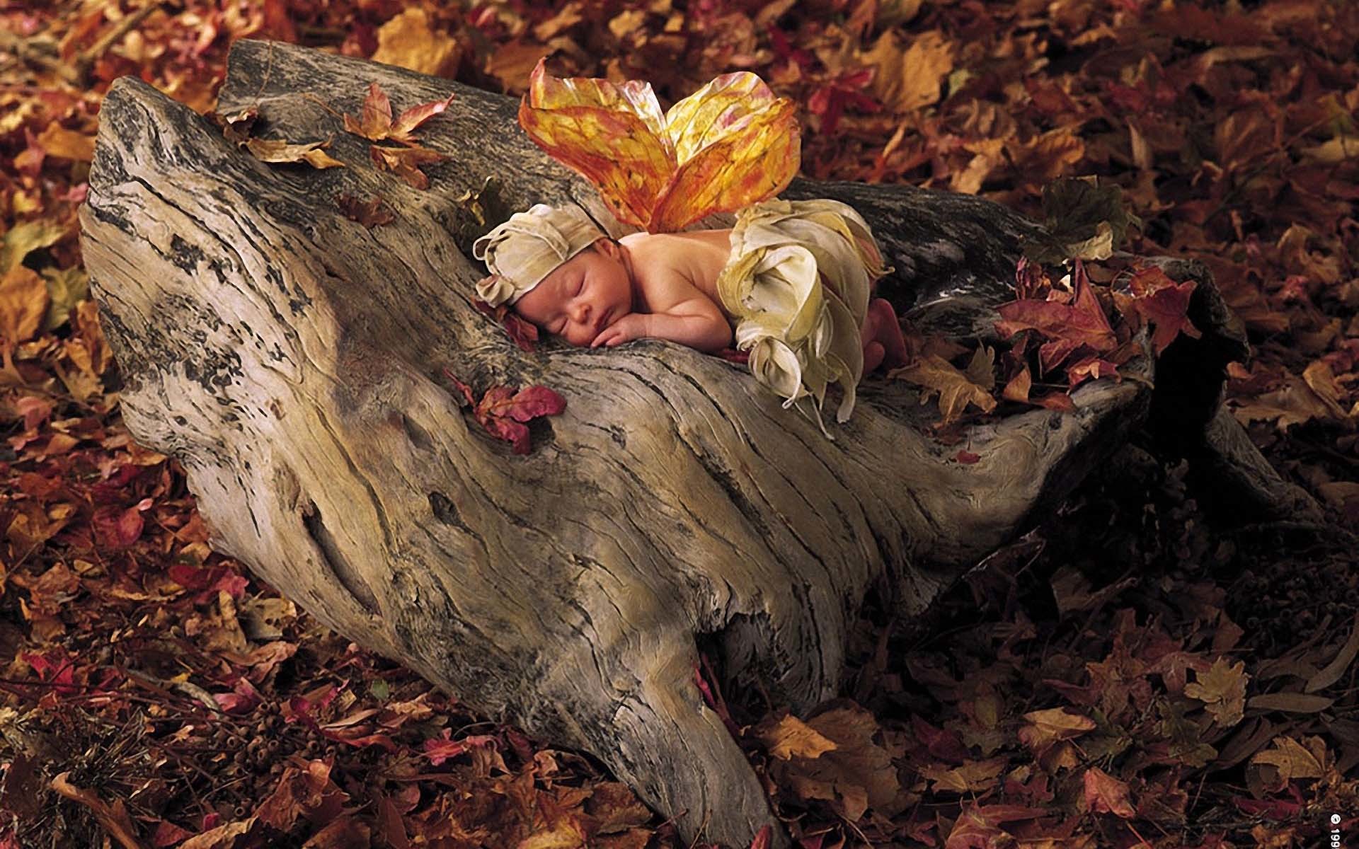 1920x1200 Anne Geddes Fall Wallpaper. Autumn Fairy Baby  Wallpapers,   Wallpapers .