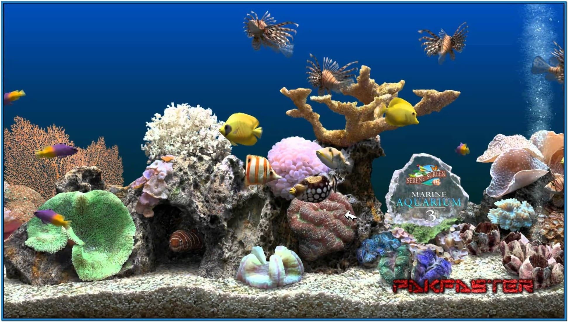 1943x1103 Screensaver marine aquarium deluxe 3.2 - Download free