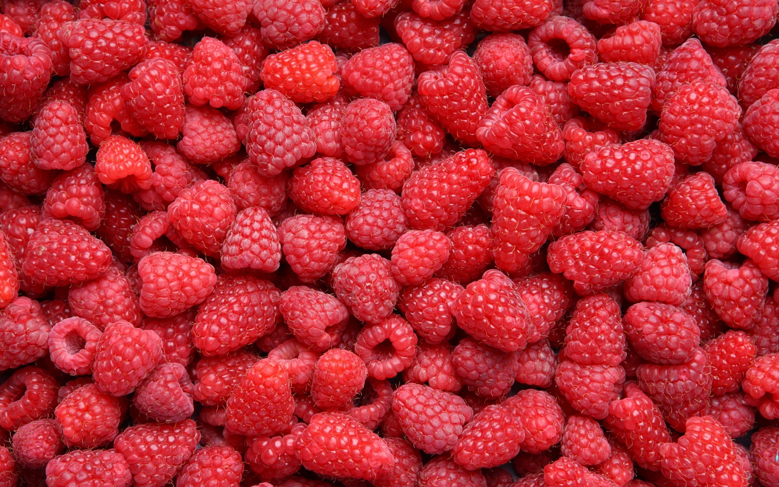 2560x1600 Raspberries Wallpaper