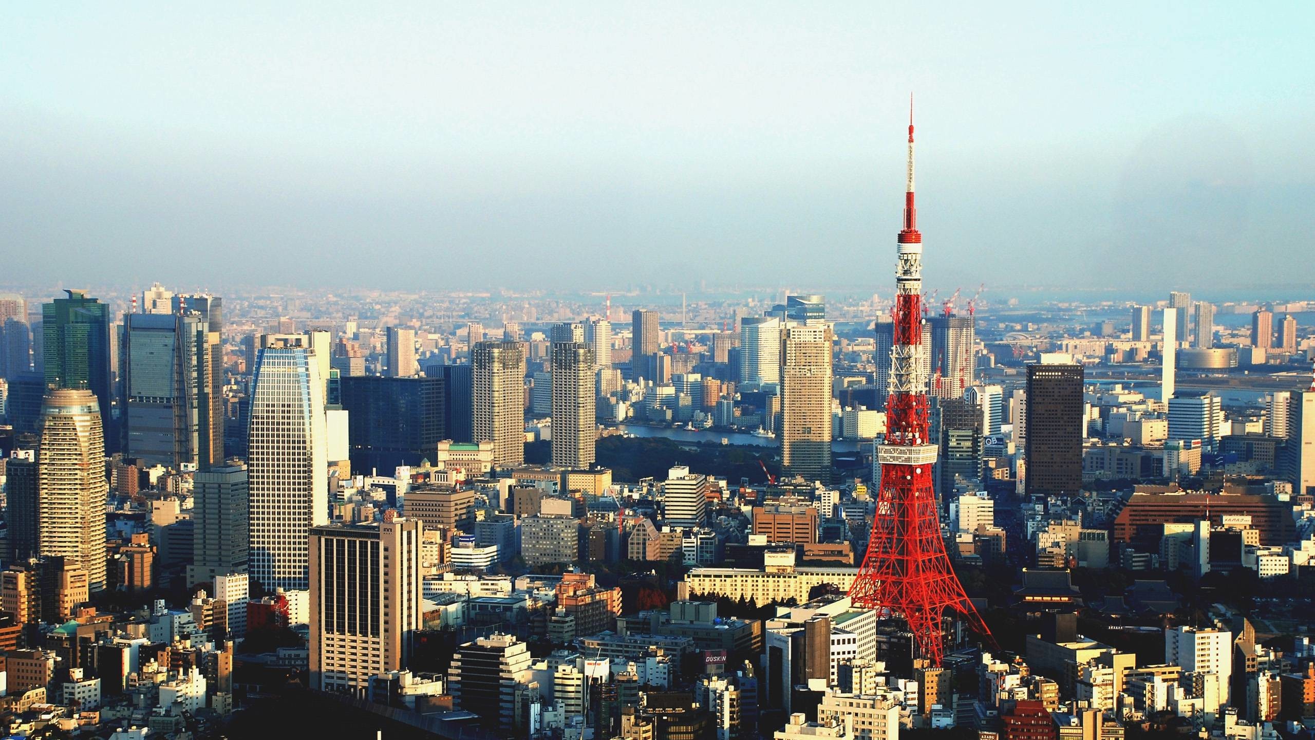 2560x1440 Tokyo Skyline  wallpaper