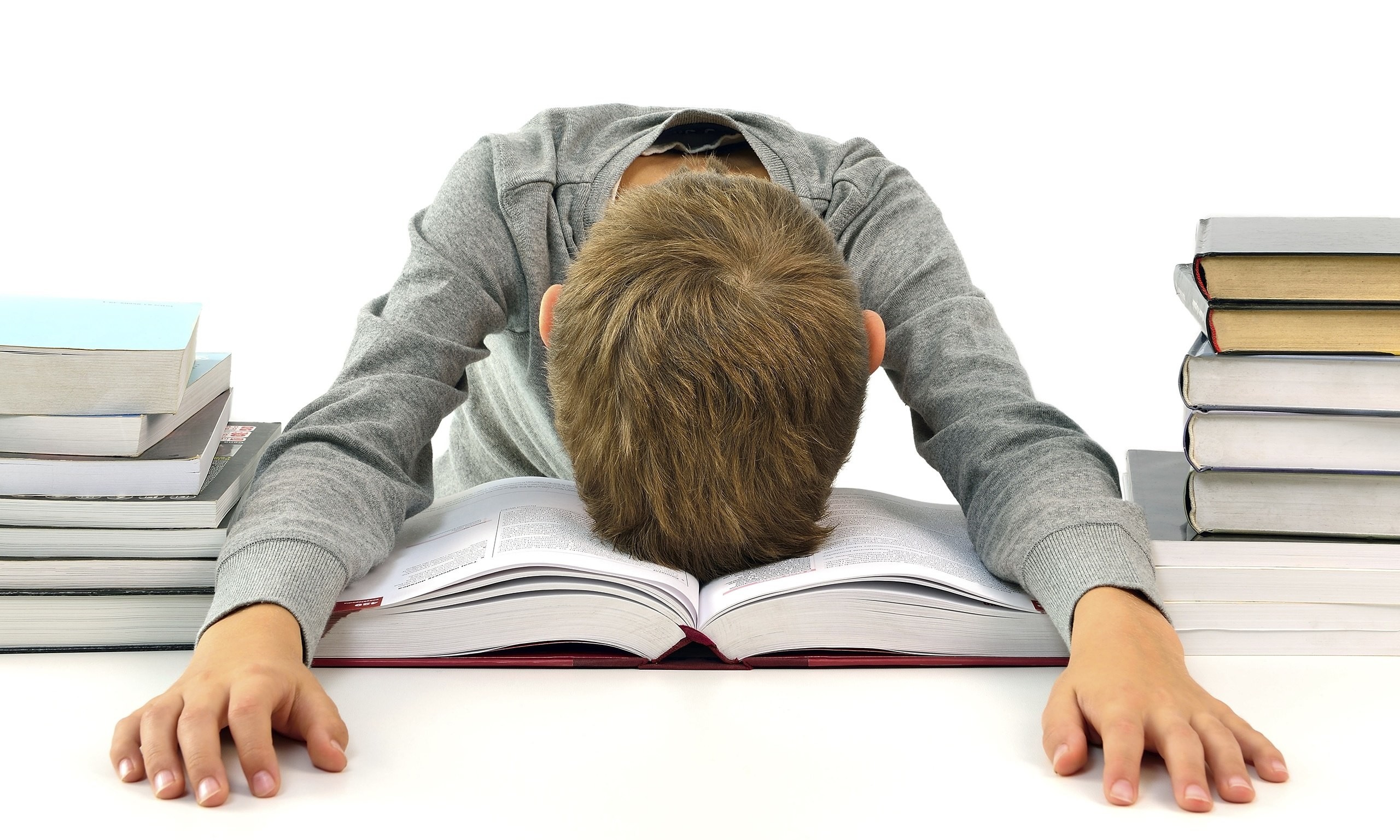 2560x1536 image of boy exhausted by the study 