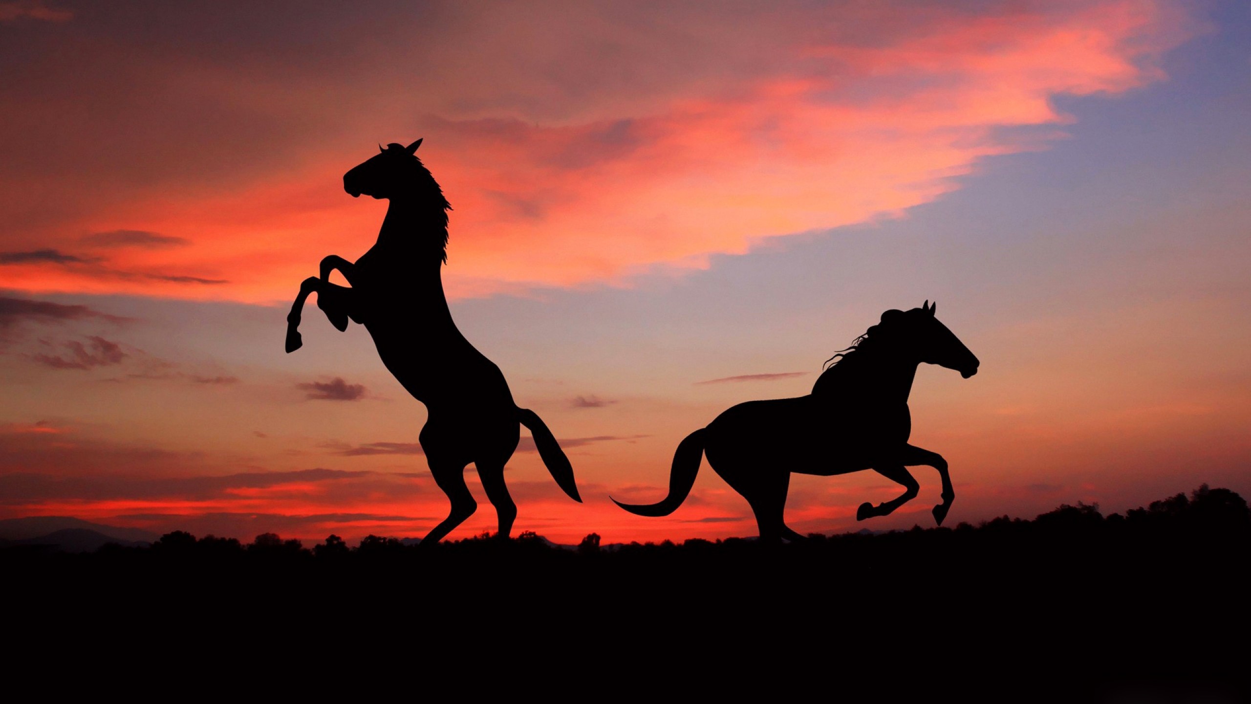 2560x1440 Preview wallpaper horse, silhouette, shadow, sunset 