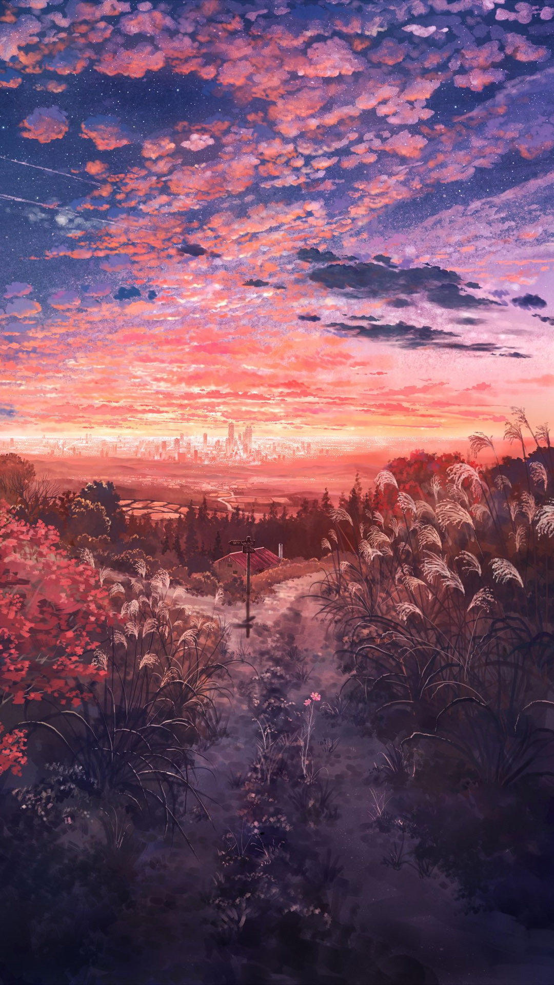 1080x1920 Anime field at dusk