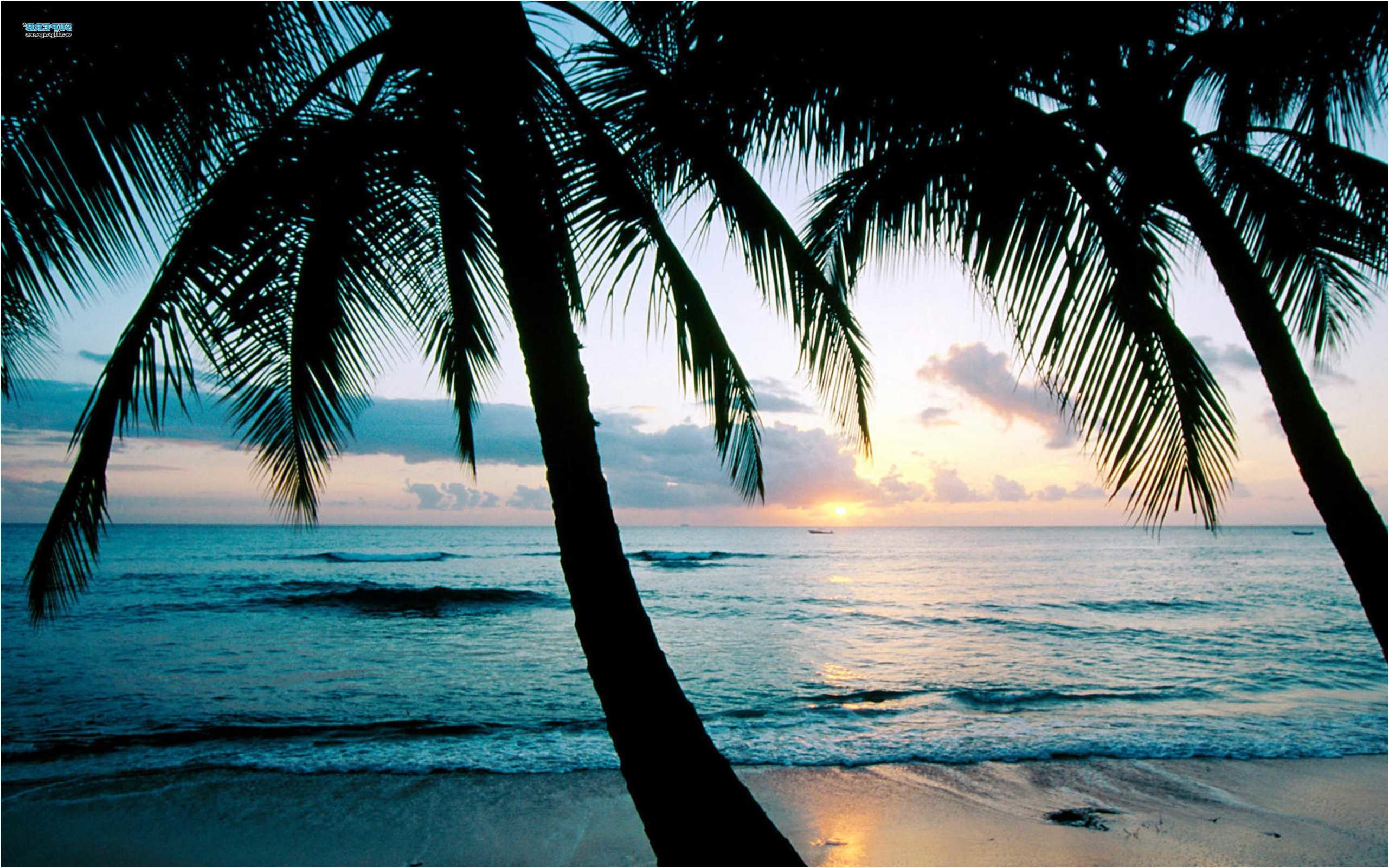 Seascape Wallpaper 71 Images 