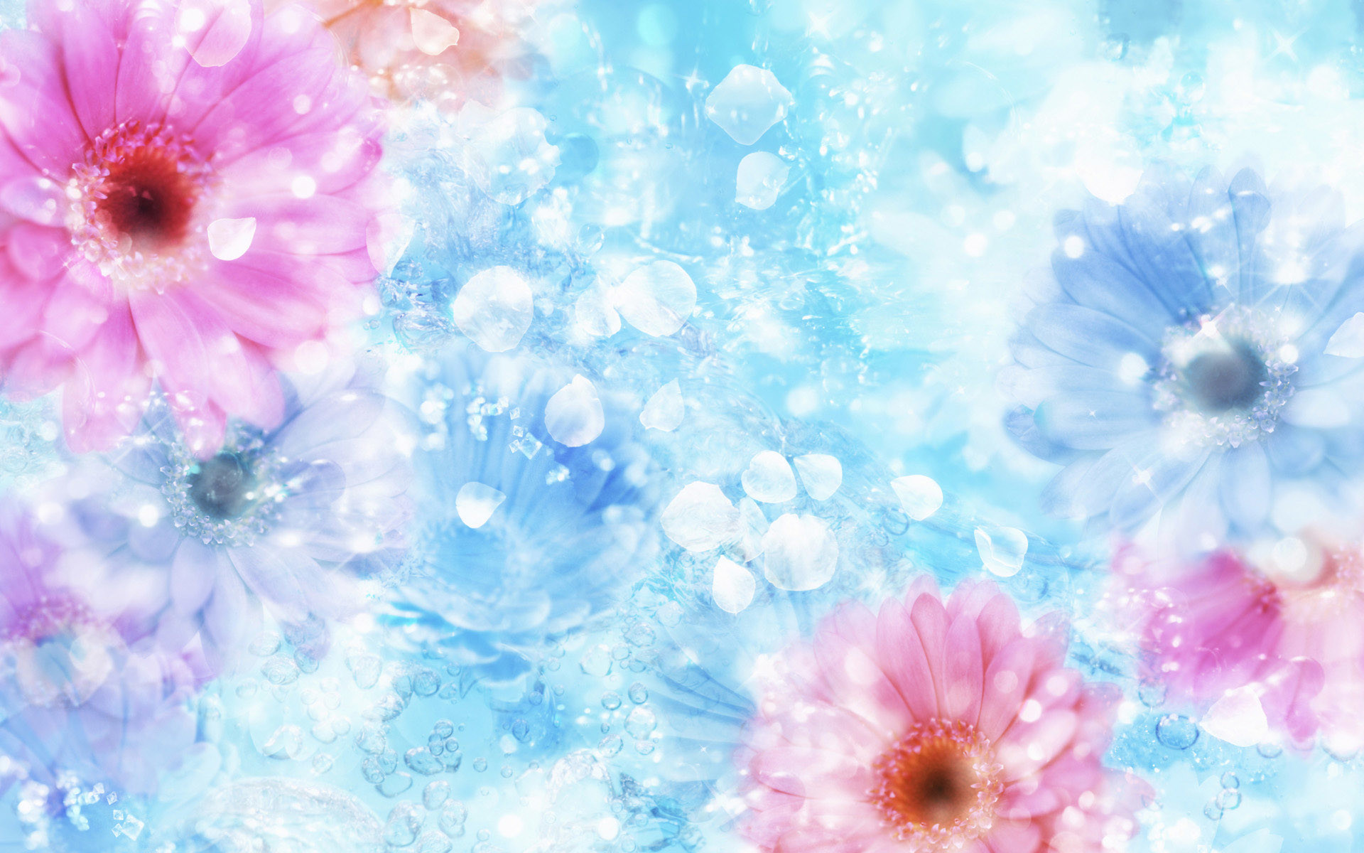 1920x1200 spring wallpaper backgrounds #289557. Spring images Beautiful Spring HD ...