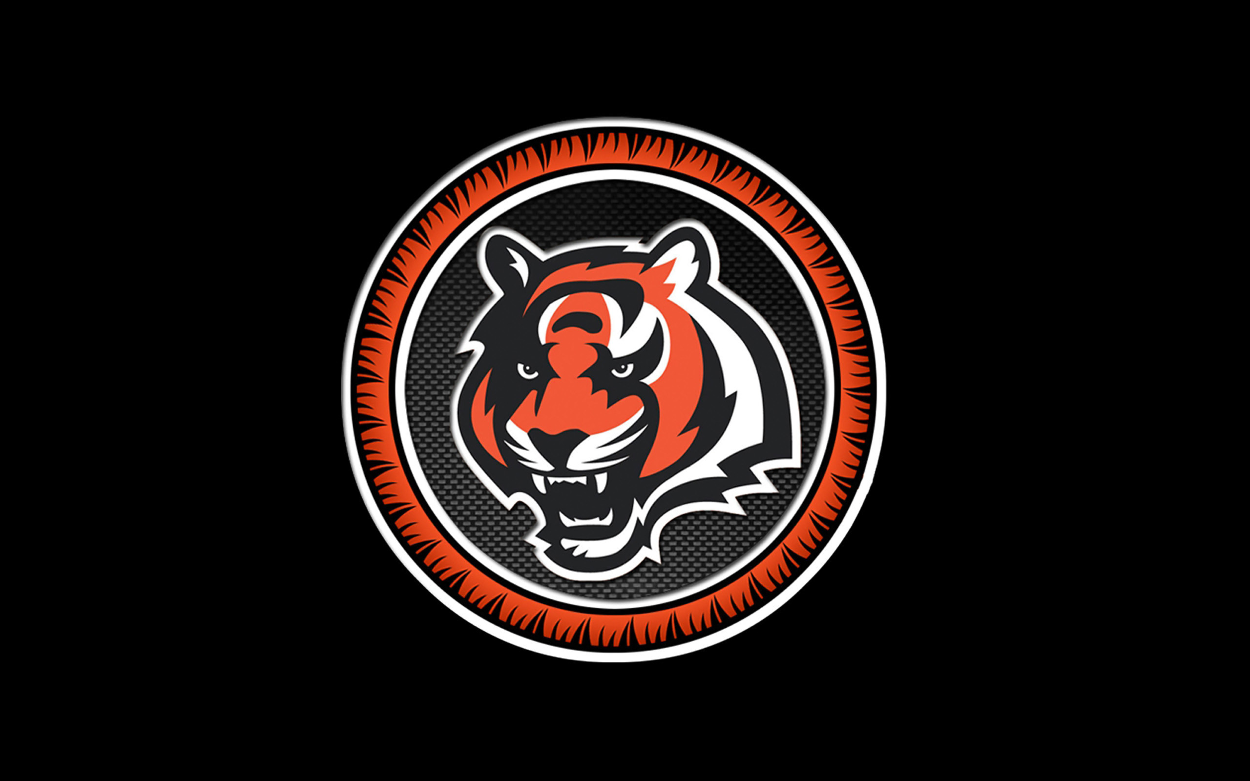 2560x1600 Download Free Cincinnati Bengals Backgrounds | PixelsTalk.Net