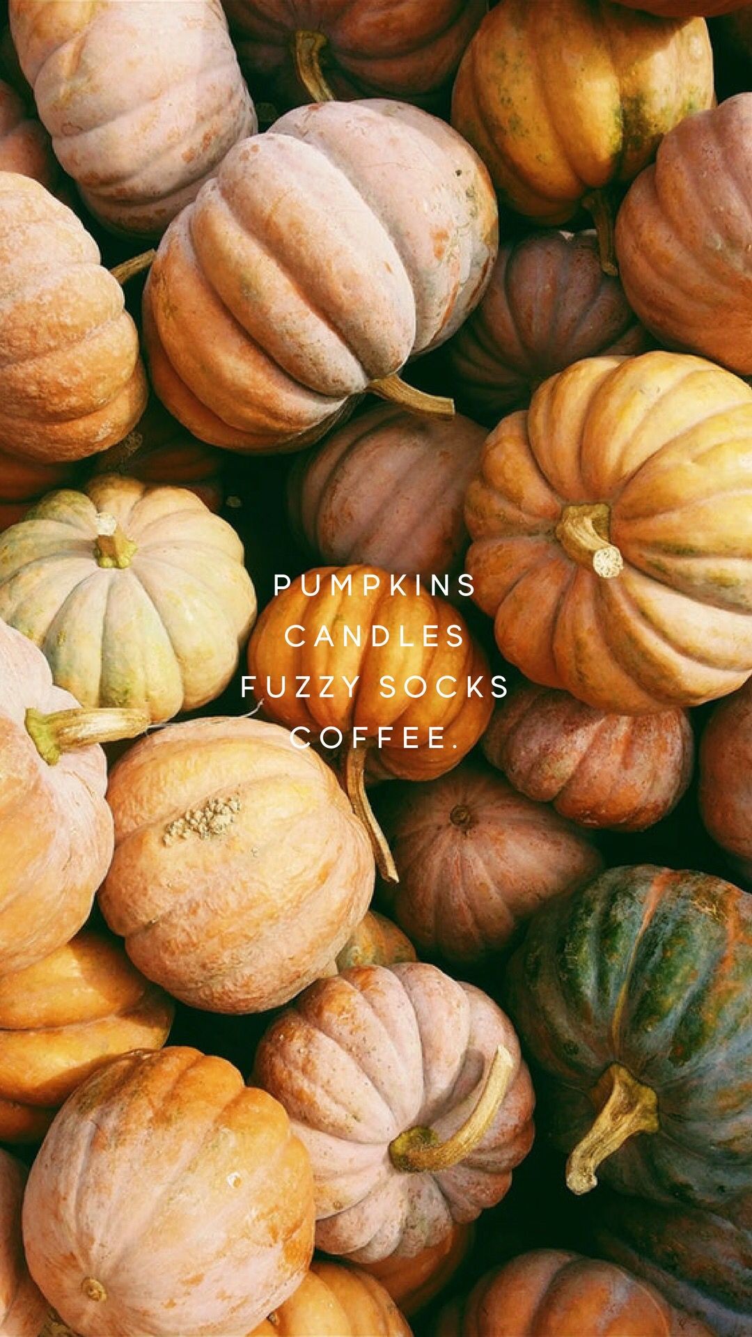 1080x1920 Pretty Backgrounds, Phone Backgrounds, Wallpaper Backgrounds, Pumpkin  Wallpaper, Cute Wallpapers, Iphone