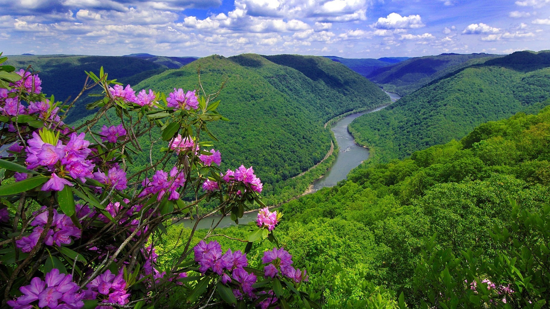 1920x1080 Wallpaper river, flowers, USA, hill, spring, West Virginia, gorge .