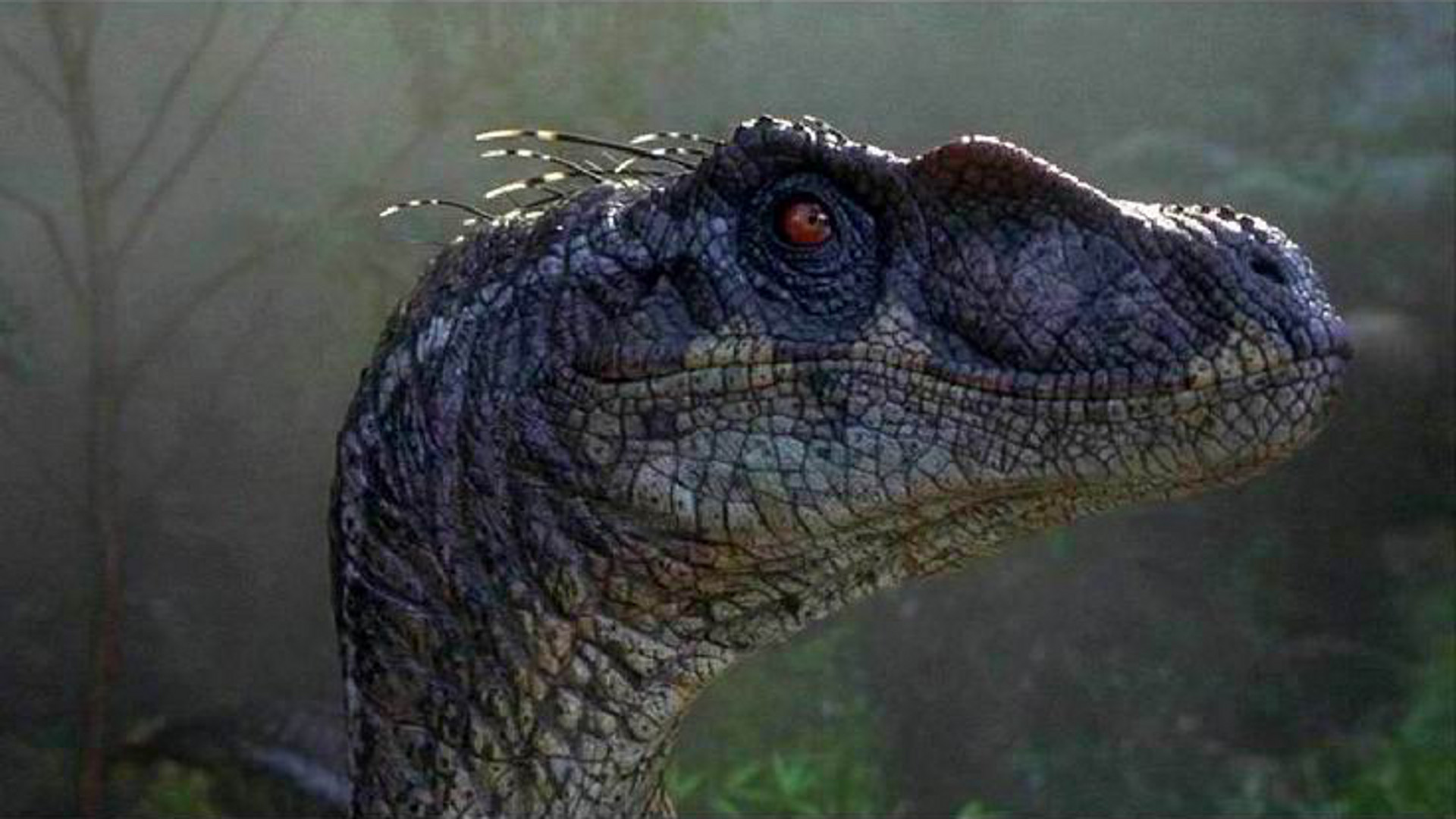 1920x1080 'Jurassic Park III' brings the original trilogy to an end with a dull,