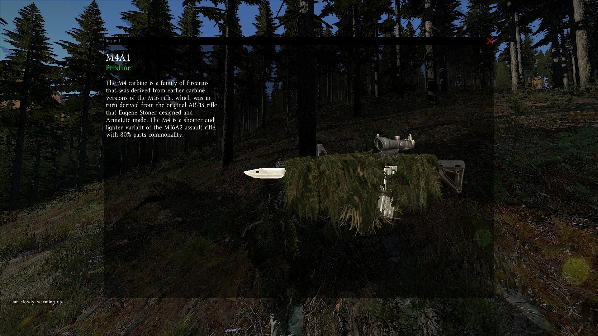 1920x1080 M4A1 With Ghillie Suit!!