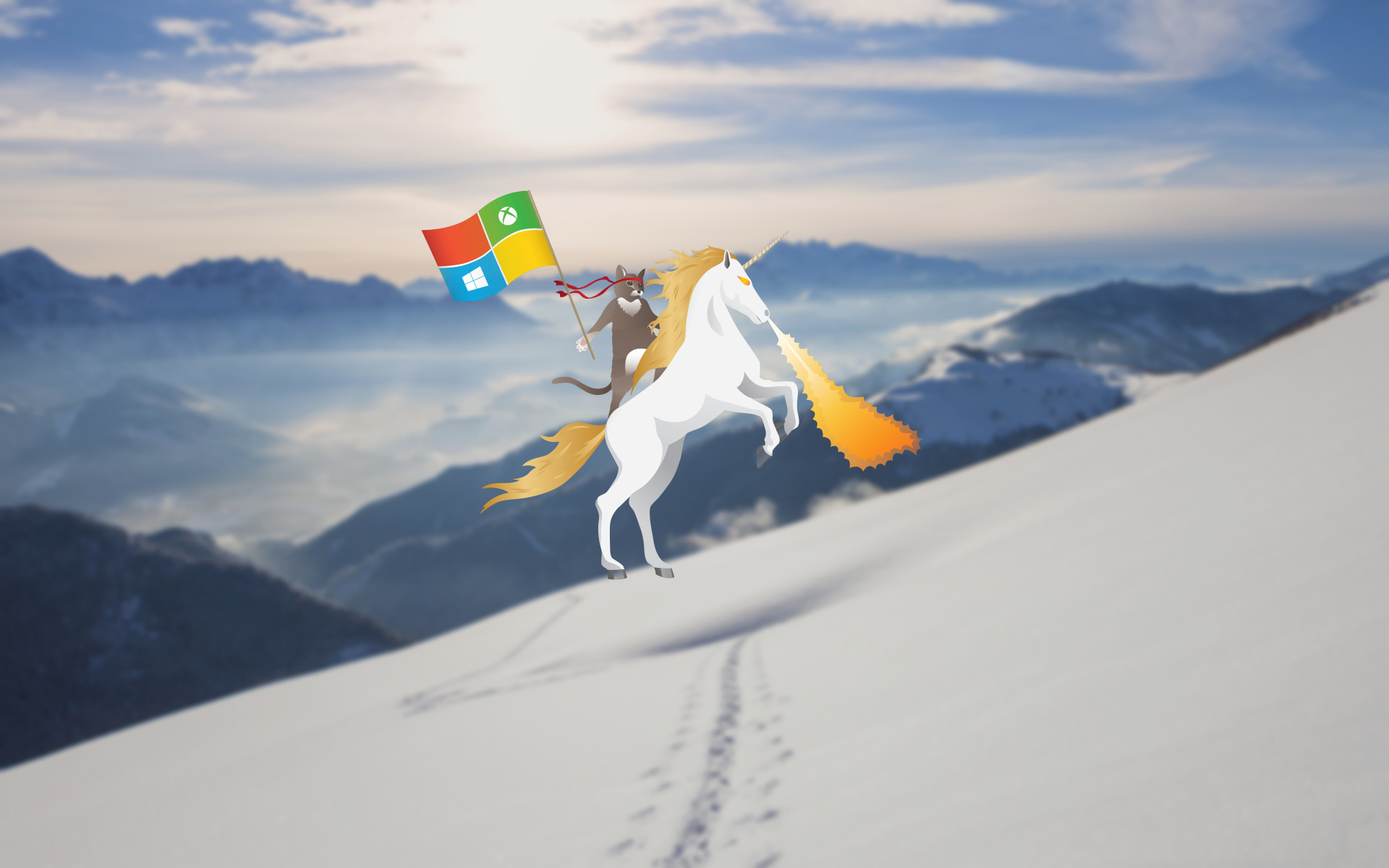 1920x1200 Here are a bunch of Windows 10 Ninja Cat wallpapers Microsoft News 