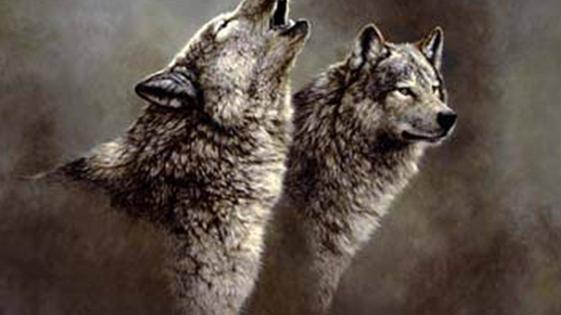 1920x1080 Wolf Song Wallpaper Tags Animals Fantasy Grey Wolf Nature Wolves .