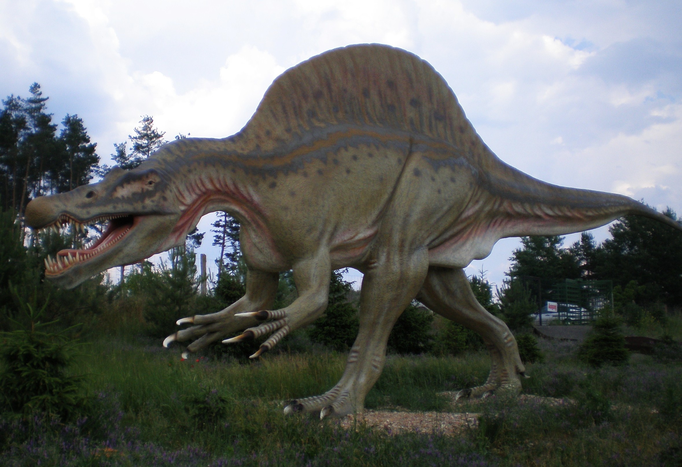 2358x1613 Filename: Spinosaurus_Tierpark_Germendorf.jpg