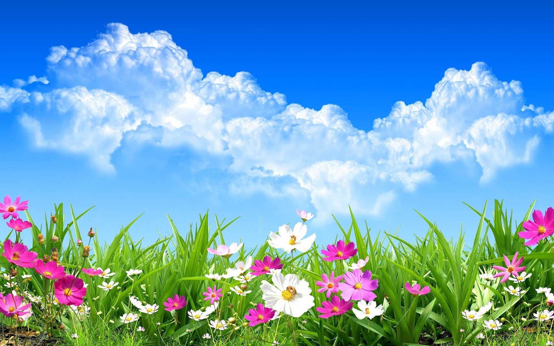 1920x1200 Beautiful Spring Background
