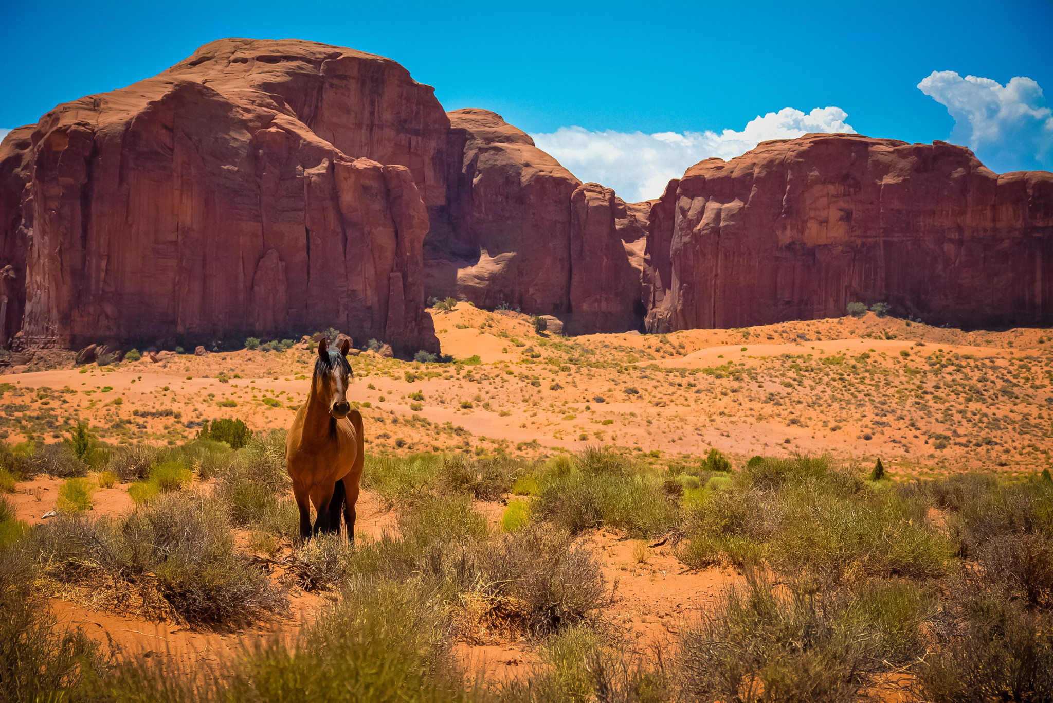 2048x1367 Horse Usa Arizona Monument Valley Desert Wild West - Free Stock Photos,  Images, HD Wallpaper