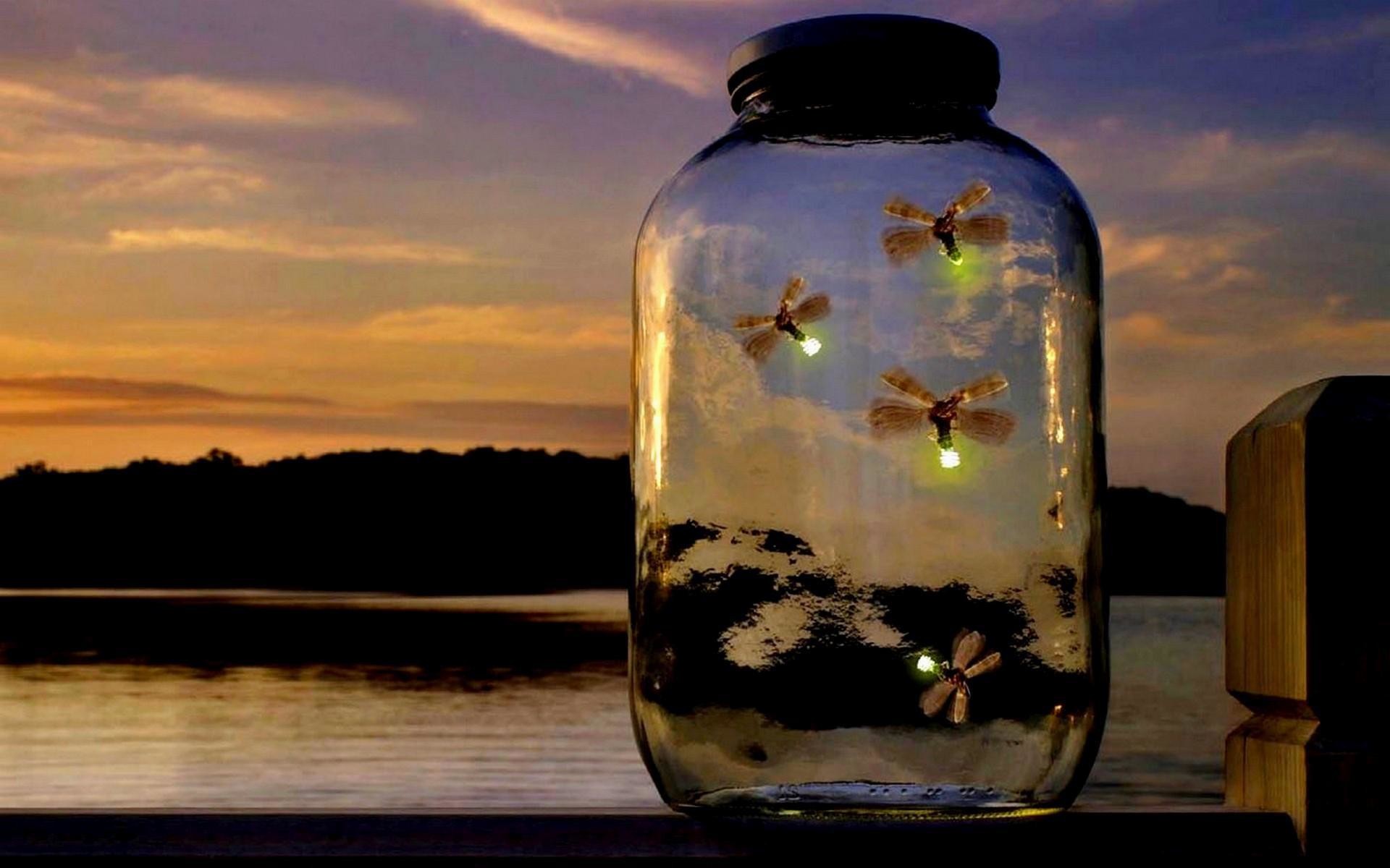 1920x1200 wallpaper.wiki-Trapped-Fireflies-in-Jar-PIC-WPB004812