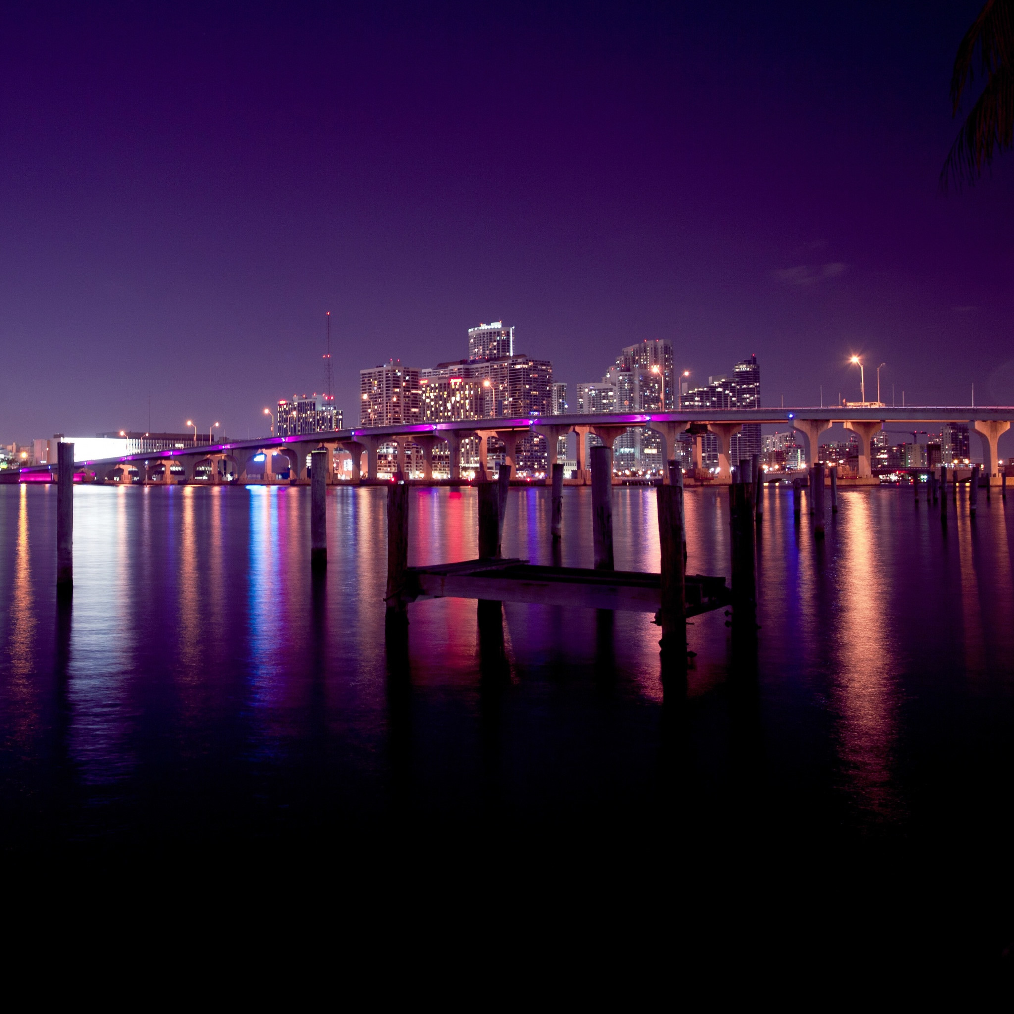 2048x2048 Hd Wallpapers Miami Skyline At Night 2560 X 1600 1539 Kb Jpeg | HD .