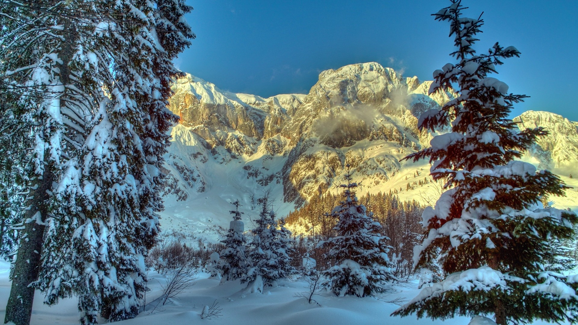 1920x1080 Preview wallpaper winter, mountains, austria, snow, trees, spruce, alps,