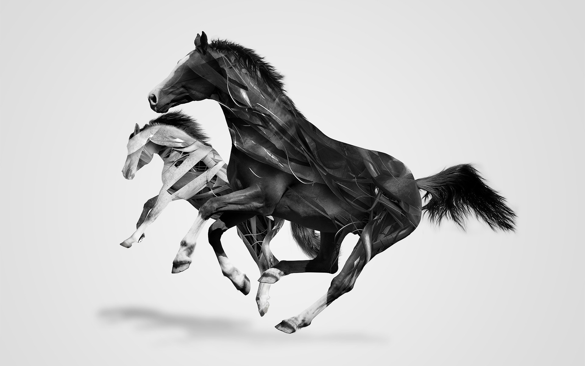 1920x1200 abstract animals fantasy art horses justin maller Art HD Wallpaper