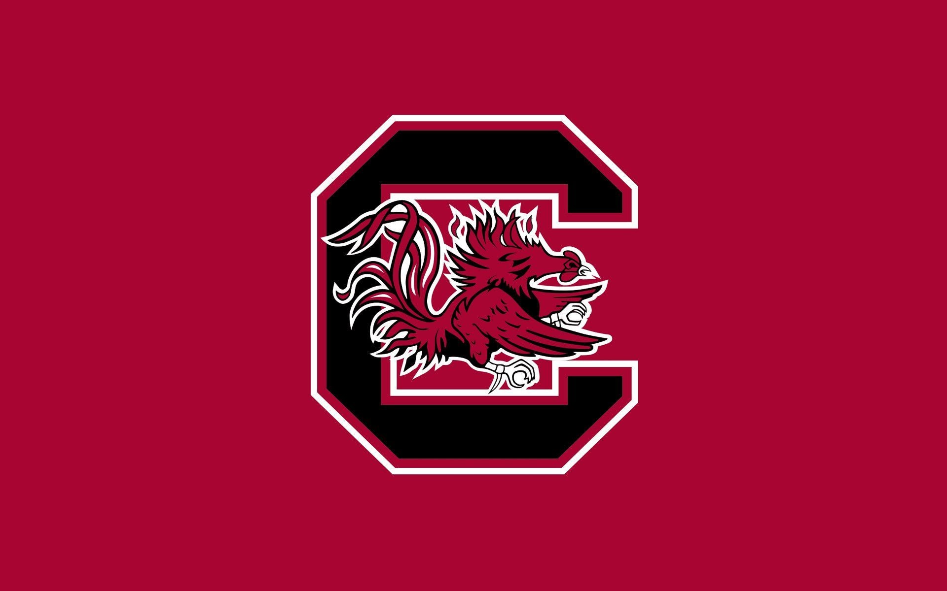 South Carolina Gamecocks Wallpapers (54+ images)