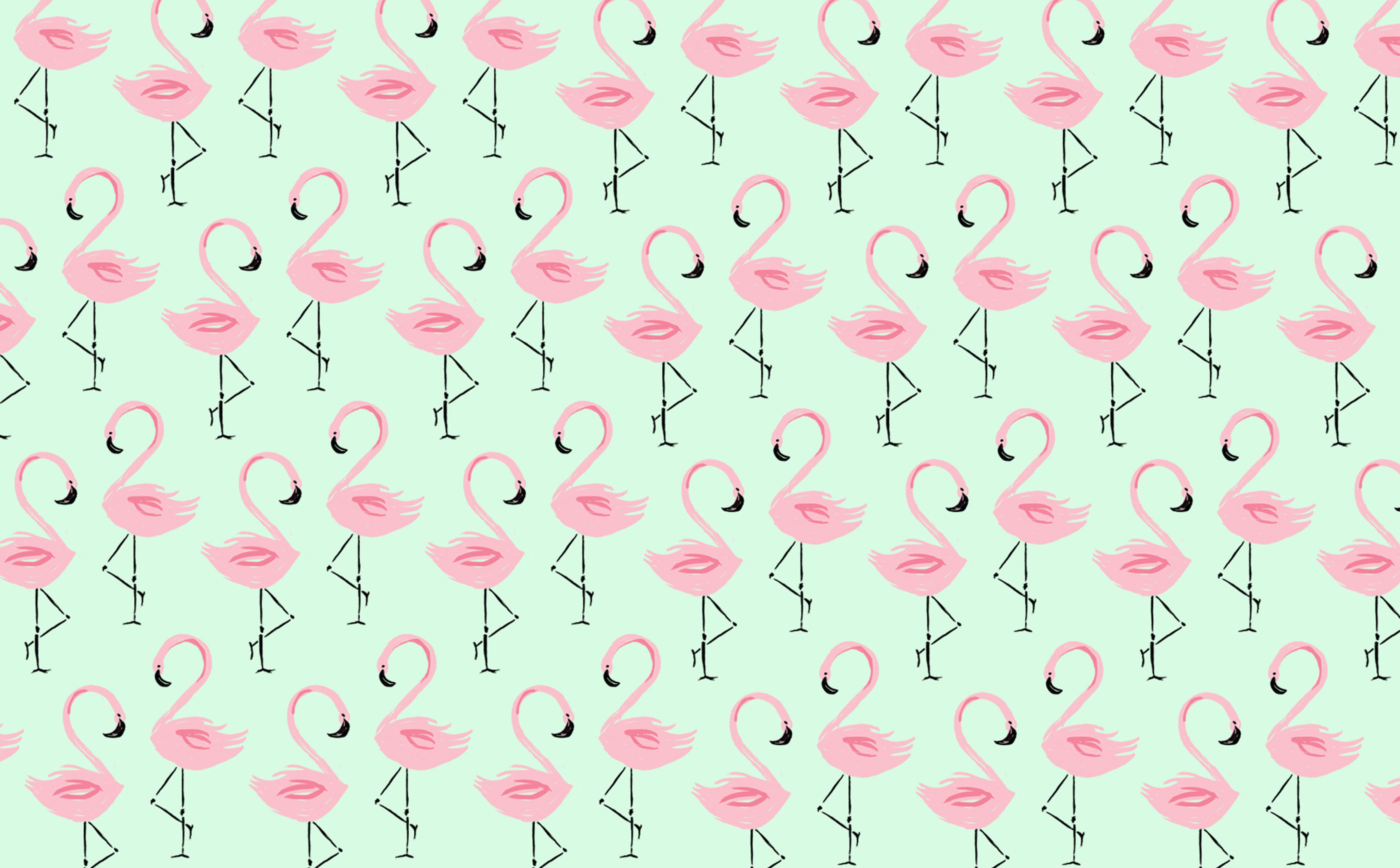 2800x1736 Flamingo-HD-Wallpaper