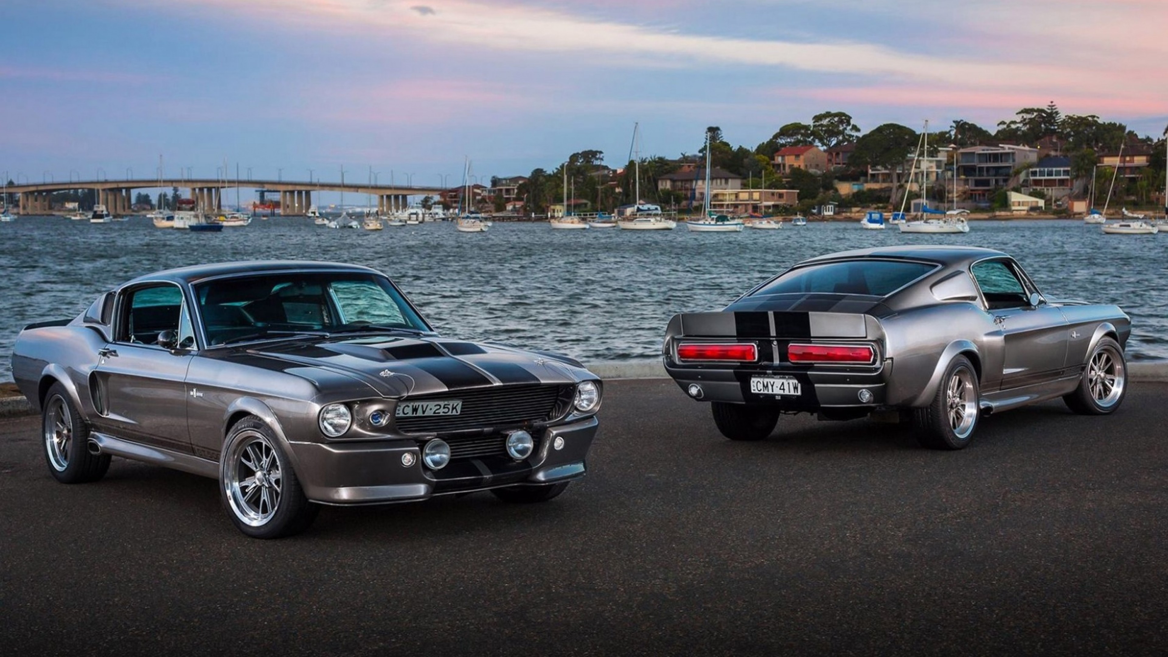 3840x2160 Preview wallpaper ford, mustang, silver, sea 