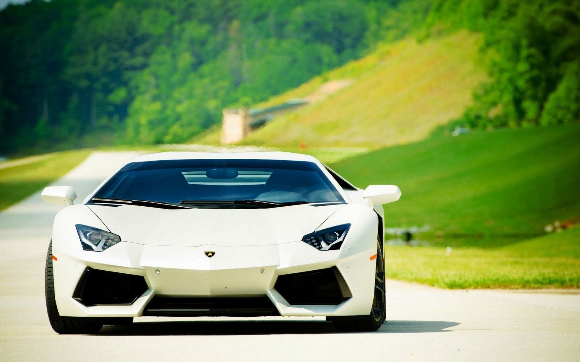 1920x1200 Today Wallpaper Download picture parts of Lamborghini HD Wallpapers  Wallpaper Cave, we'd like