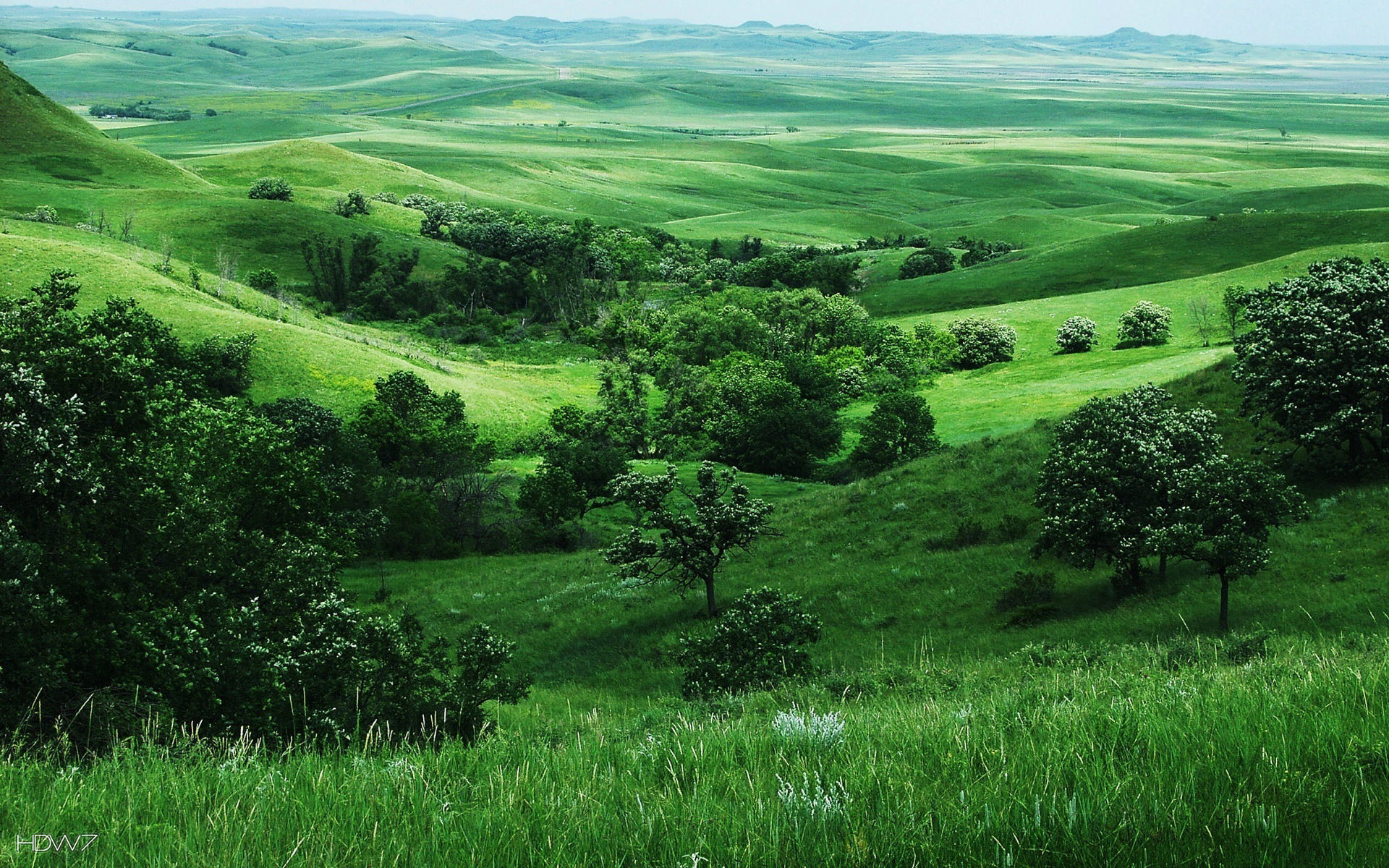 1920x1200 green hills in the valley wallpaper