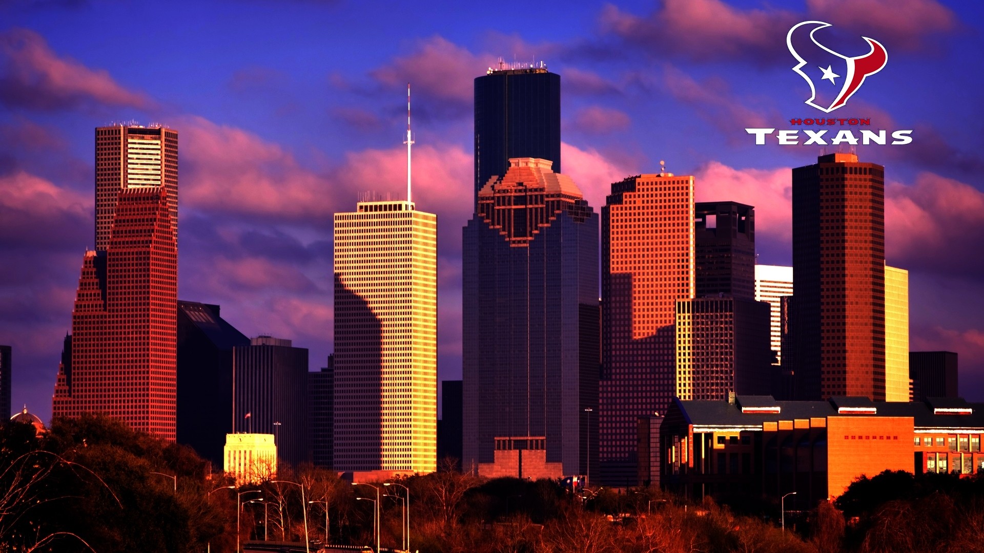 1920x1080 Houston Texans / Nfl  Hd Images