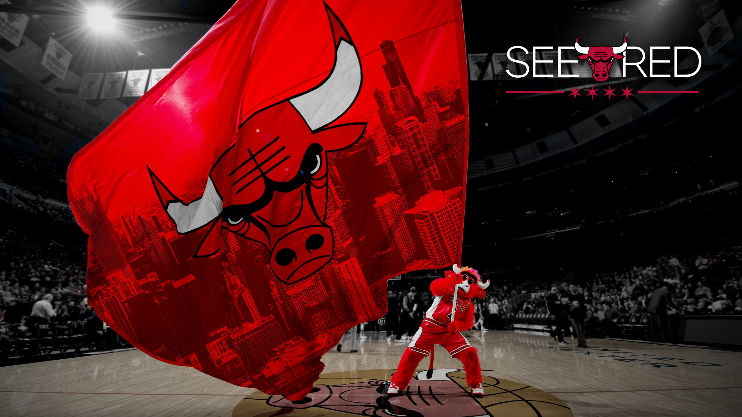 2560x1440 SEE RED - Benny the Bull