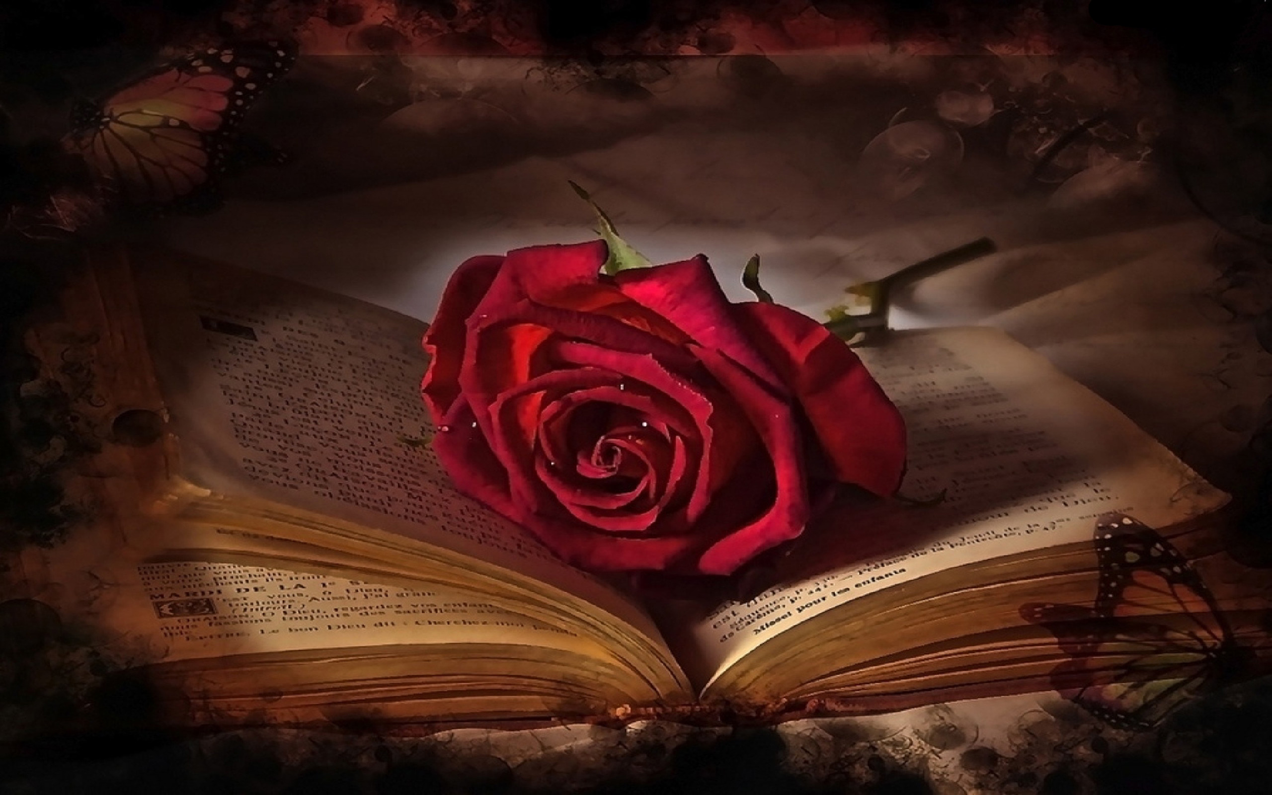 2560x1600 Fotografie - Liebe Rose Red Rose Buch Valentinstag Schmetterlinge Wallpaper