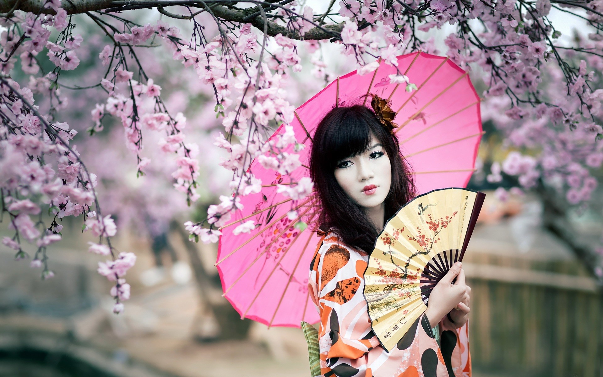 1920x1200 Cherry blossoms, kimono girl, umbrella, fan wallpaper thumb