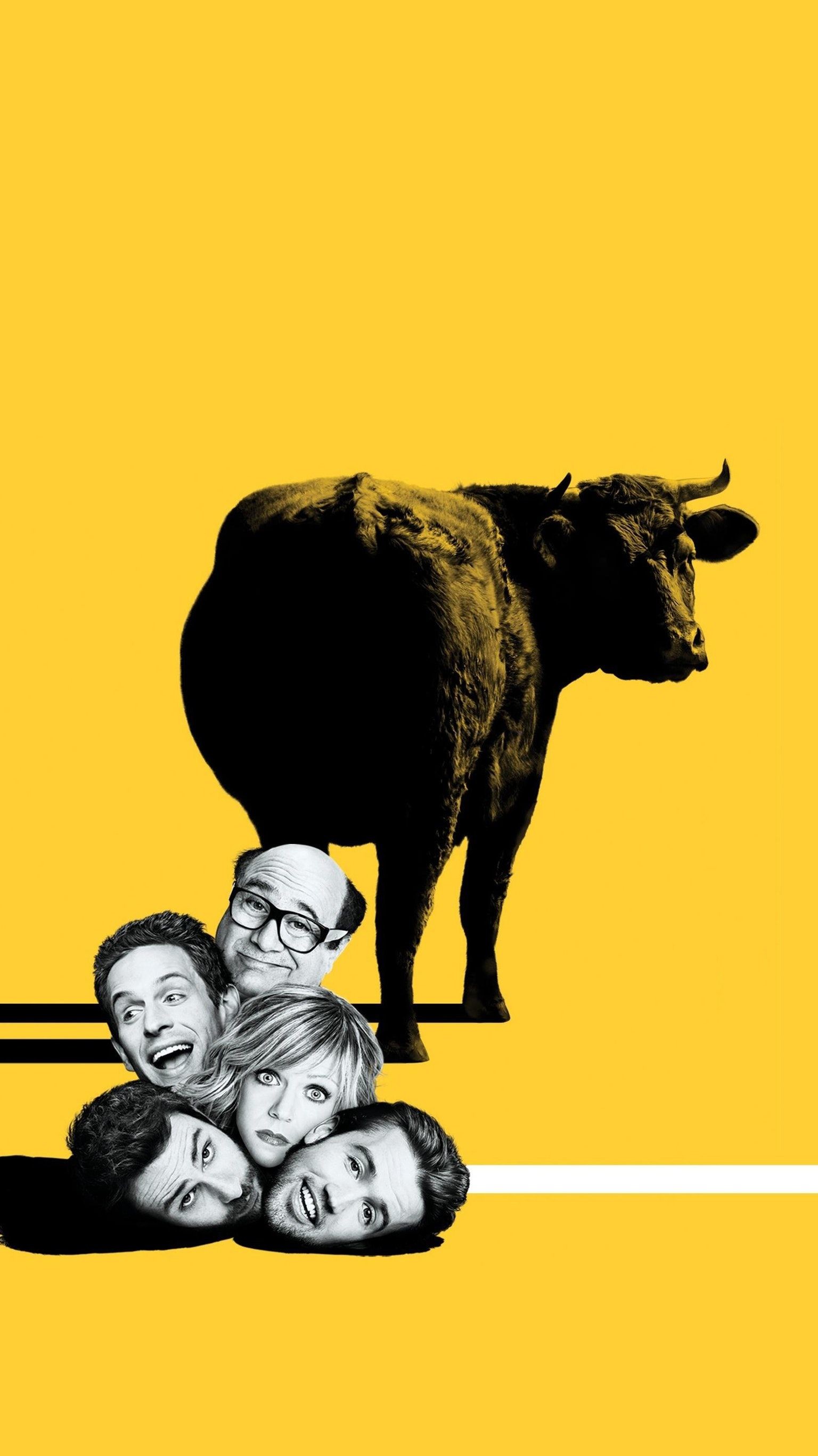 1536x2733 It's Always Sunny, Always Be, Sunny In Philadelphia, Movie Wallpapers, Tv  Shows