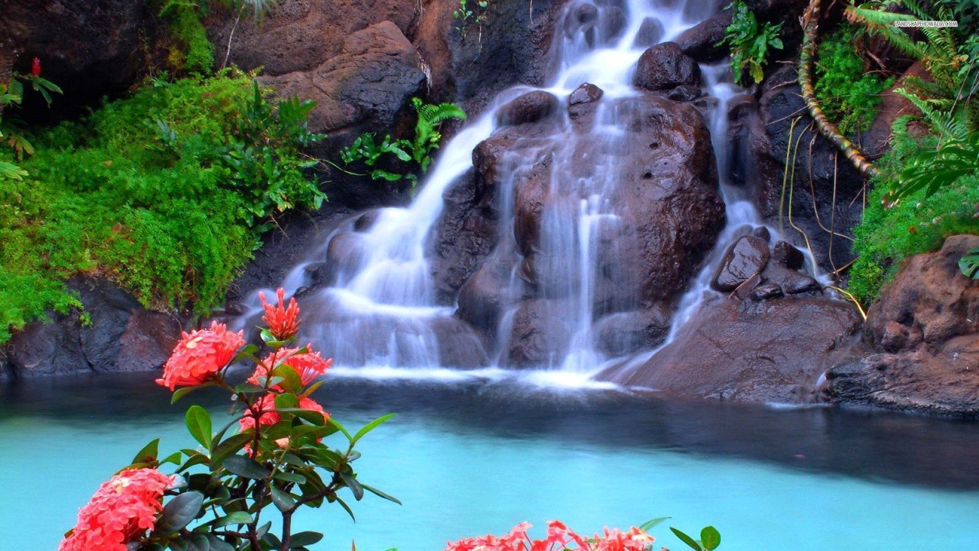 1920x1080 beautiful-waterfall-and-pink-flowers-free-hd-for-