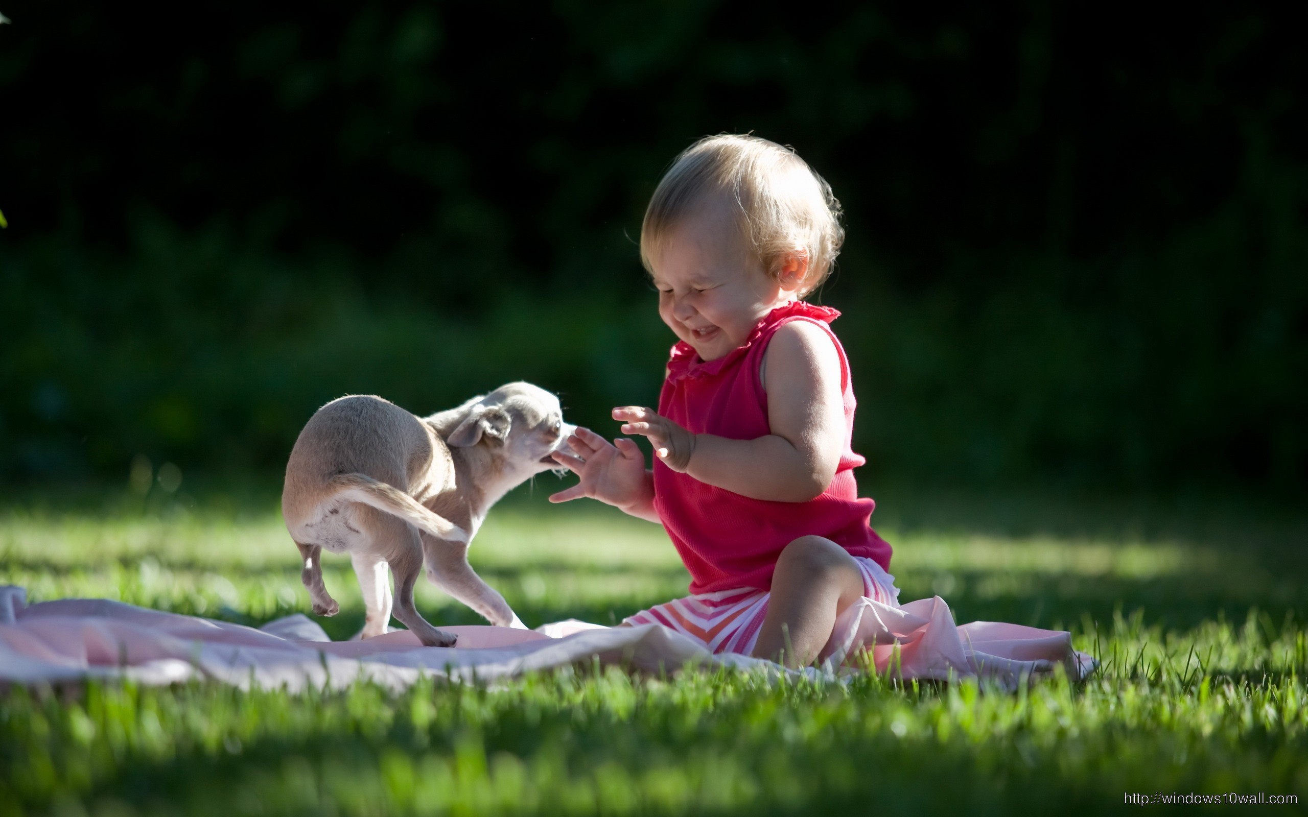 2560x1600 Baby Play With Dog Wallpaper