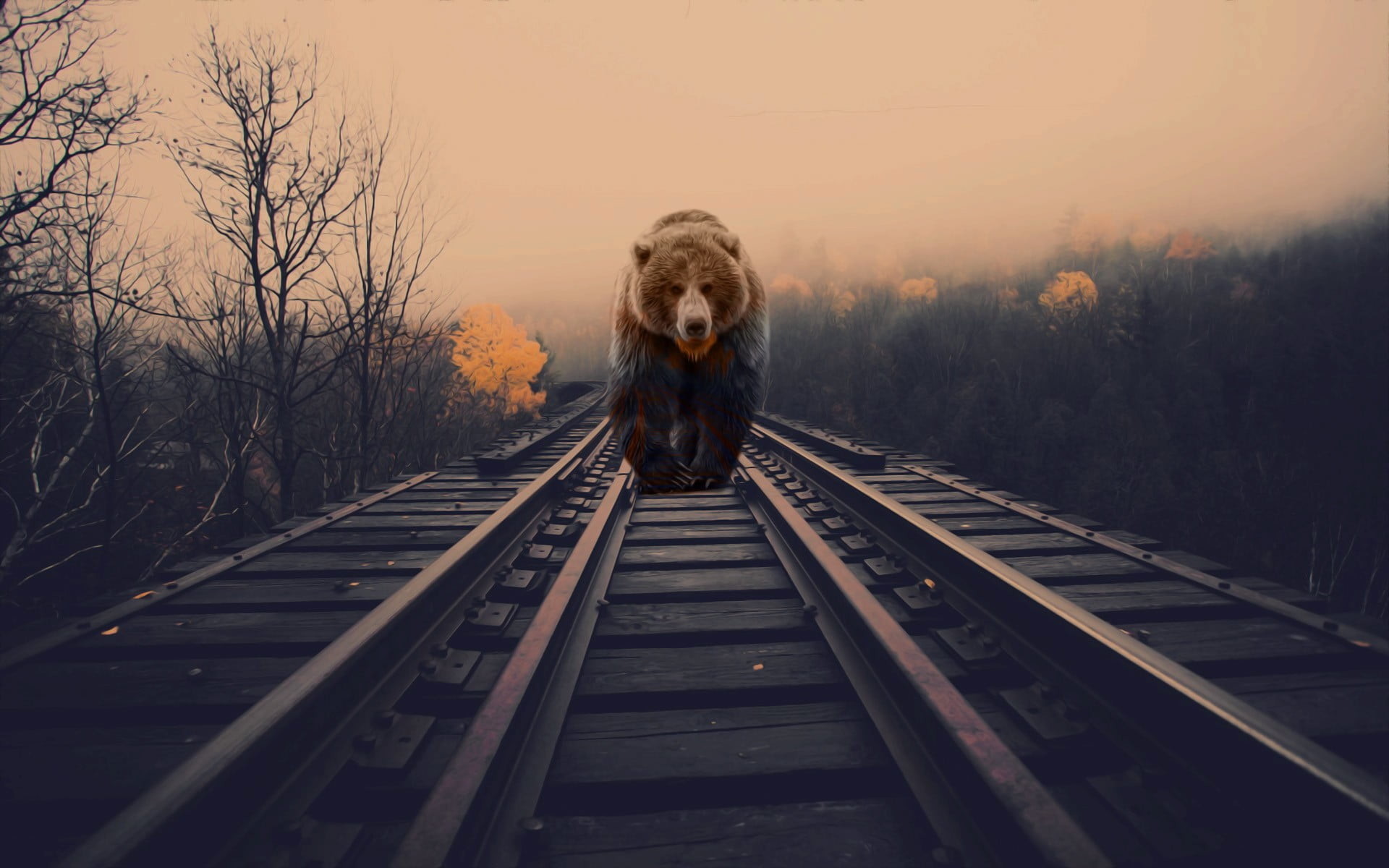 1920x1200 brown bear wallpaper, bears, nature, animals, photo manipulation HD  wallpaper
