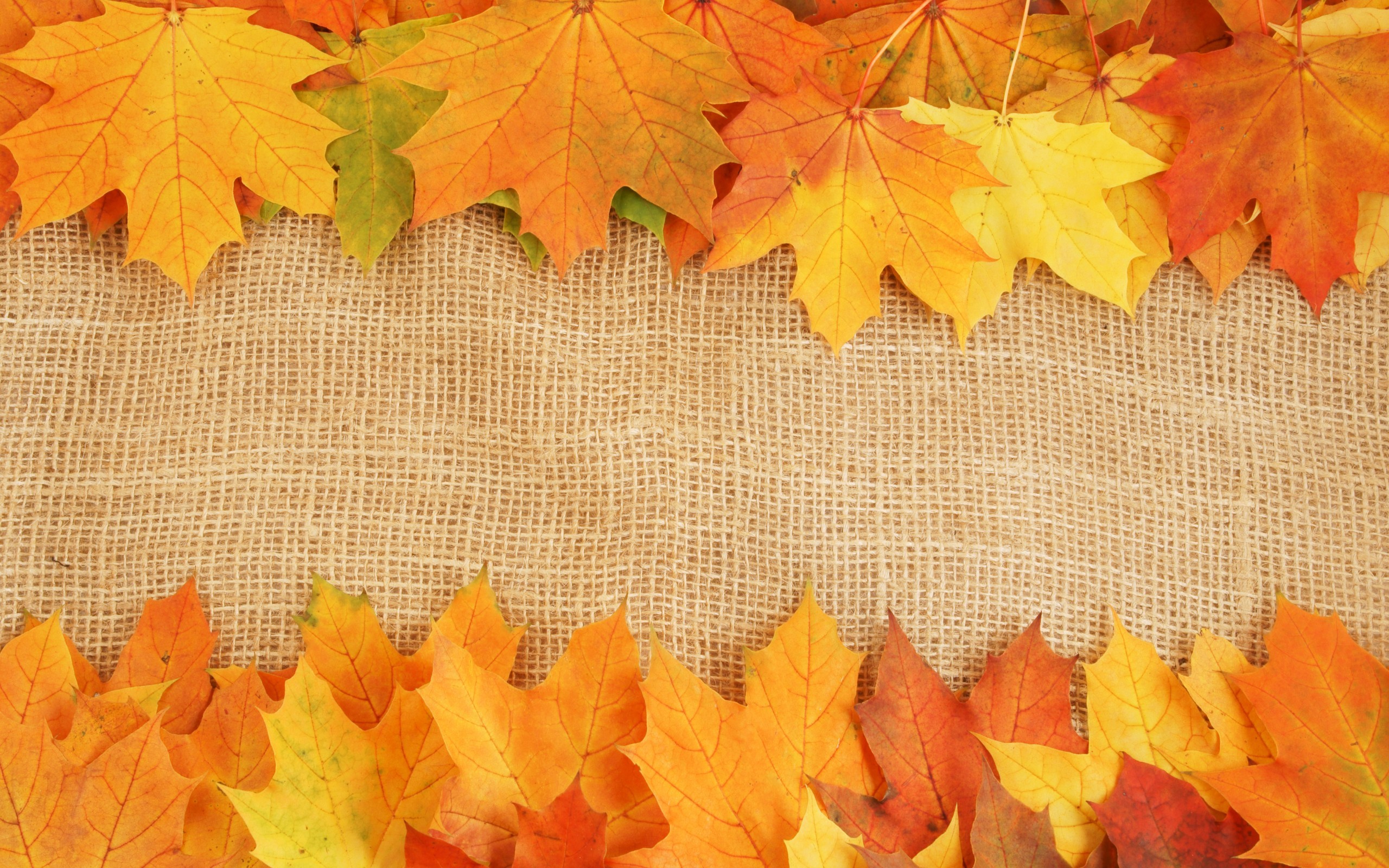 2560x1600 Awesome Autumn Background. Â«