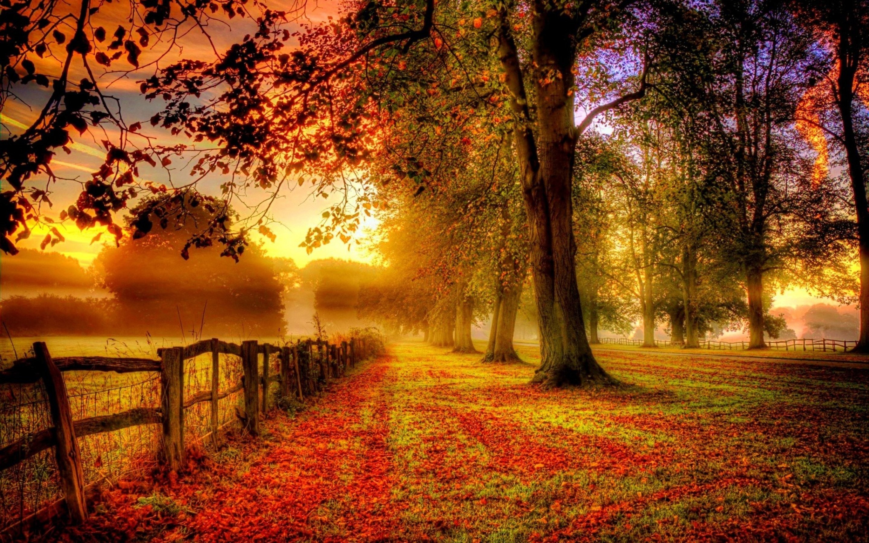 2880x1800 Beautiful Country Sunset Read Leaves Desktop Wallpaper Uploaded by 10Mantra