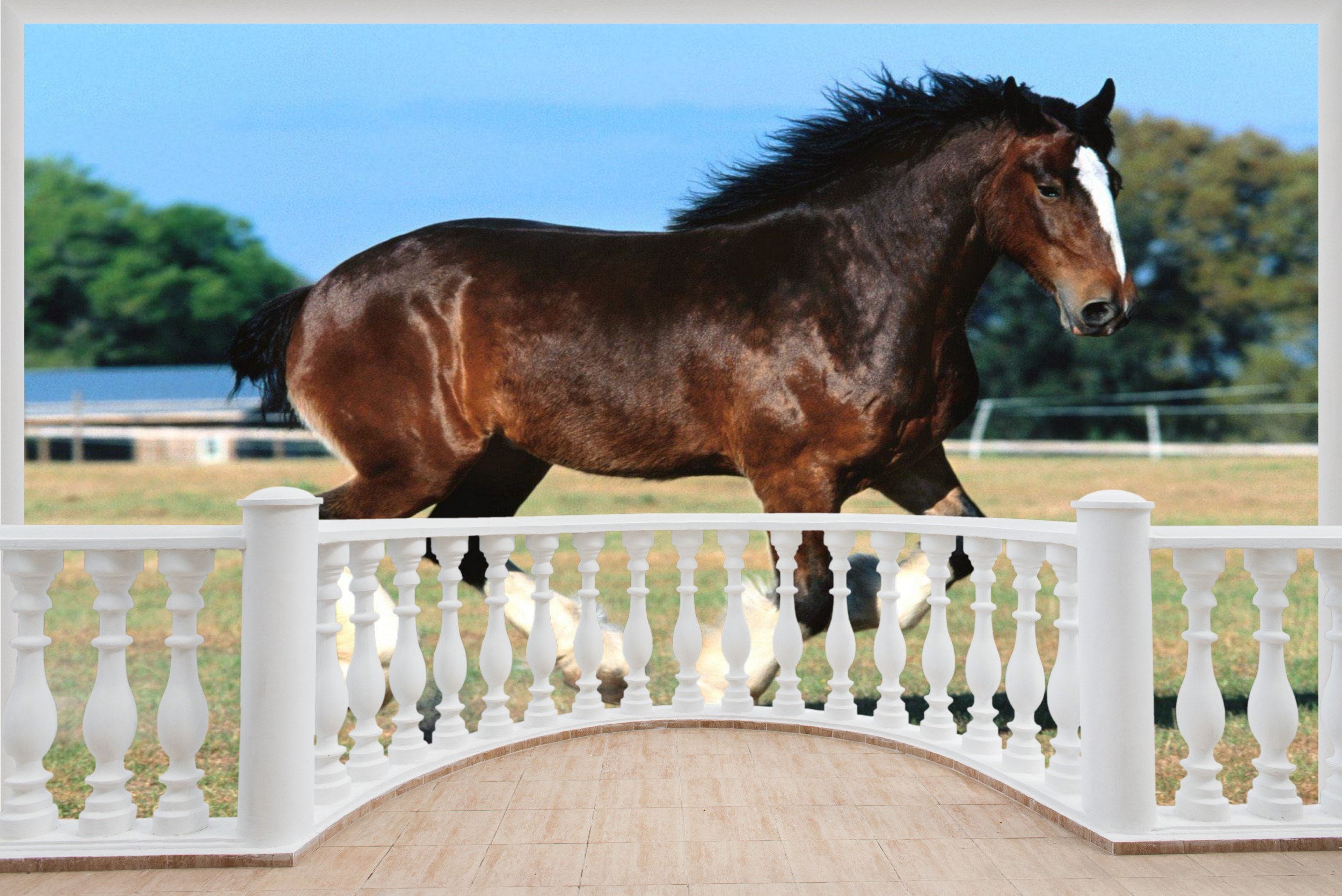 2500x1669 Details about Huge 3D Balcony Shire Horse Running Wall Stickers Mural  Wallpaper 187