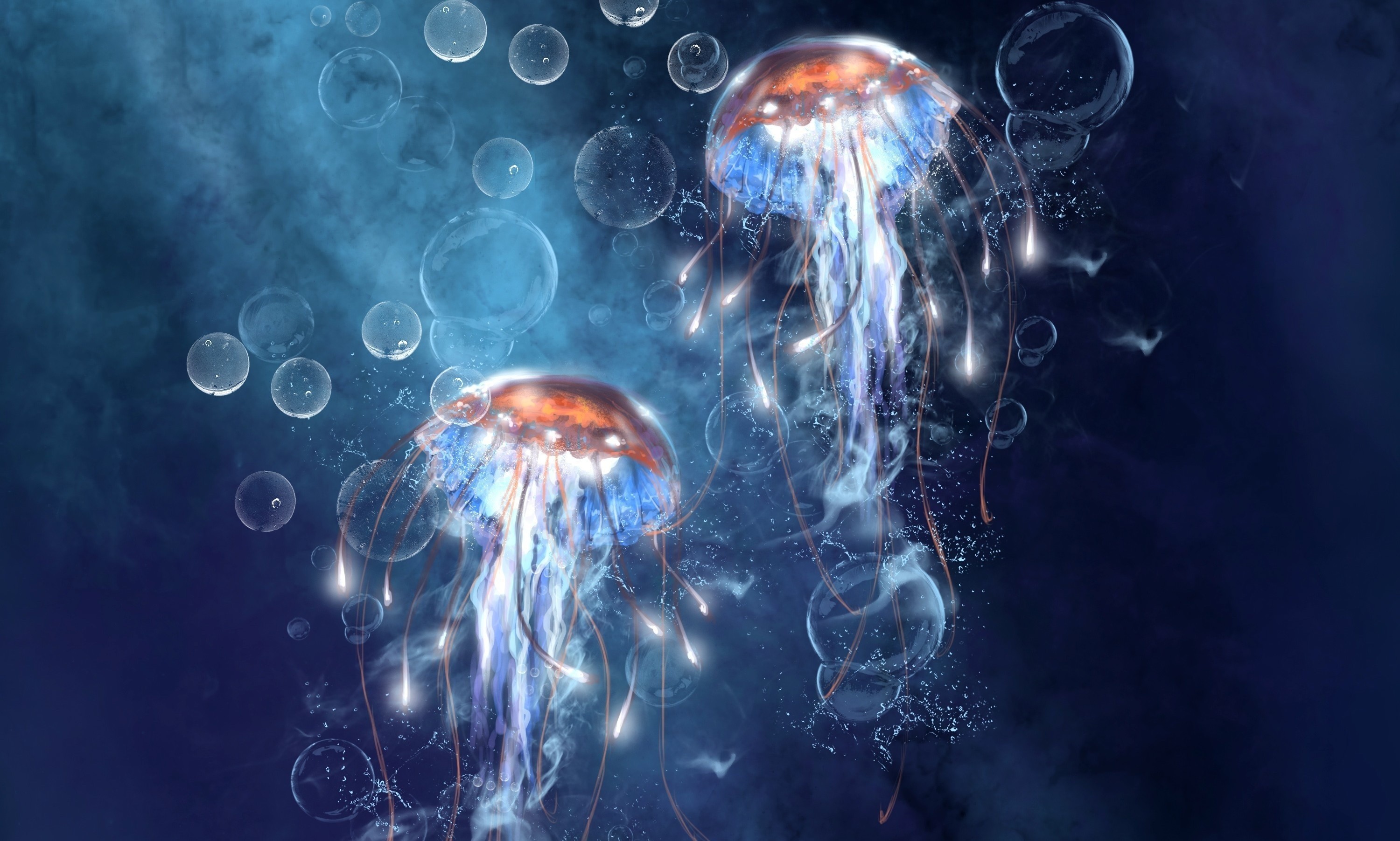 3000x1804 Jellyfish HD Wallpaper | Background Image |  | ID:290263 -  Wallpaper Abyss