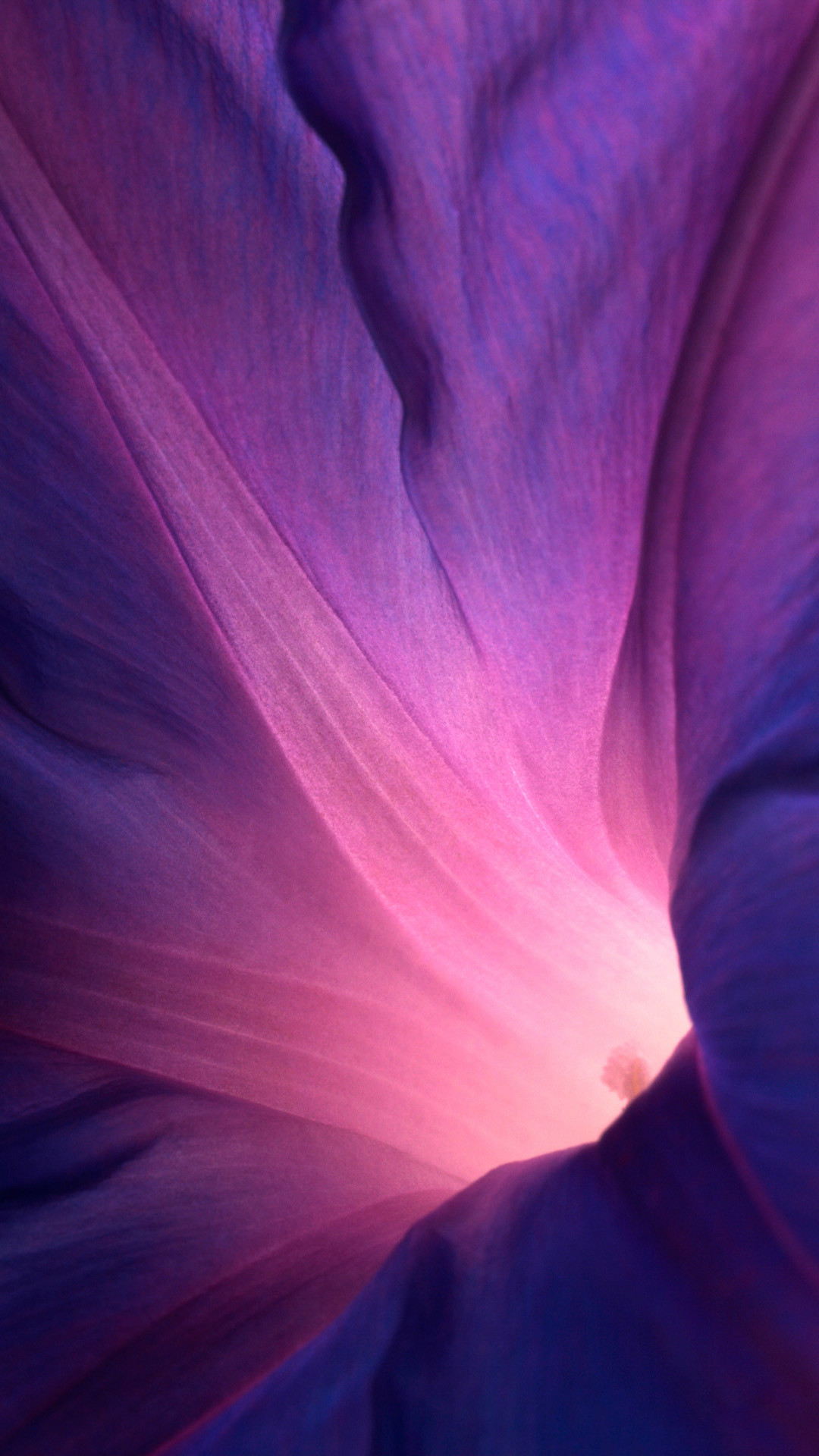 1080x1920 Abstract Purple Flower Lockscreen iPhone 6 Wallpaper Download iPhone  