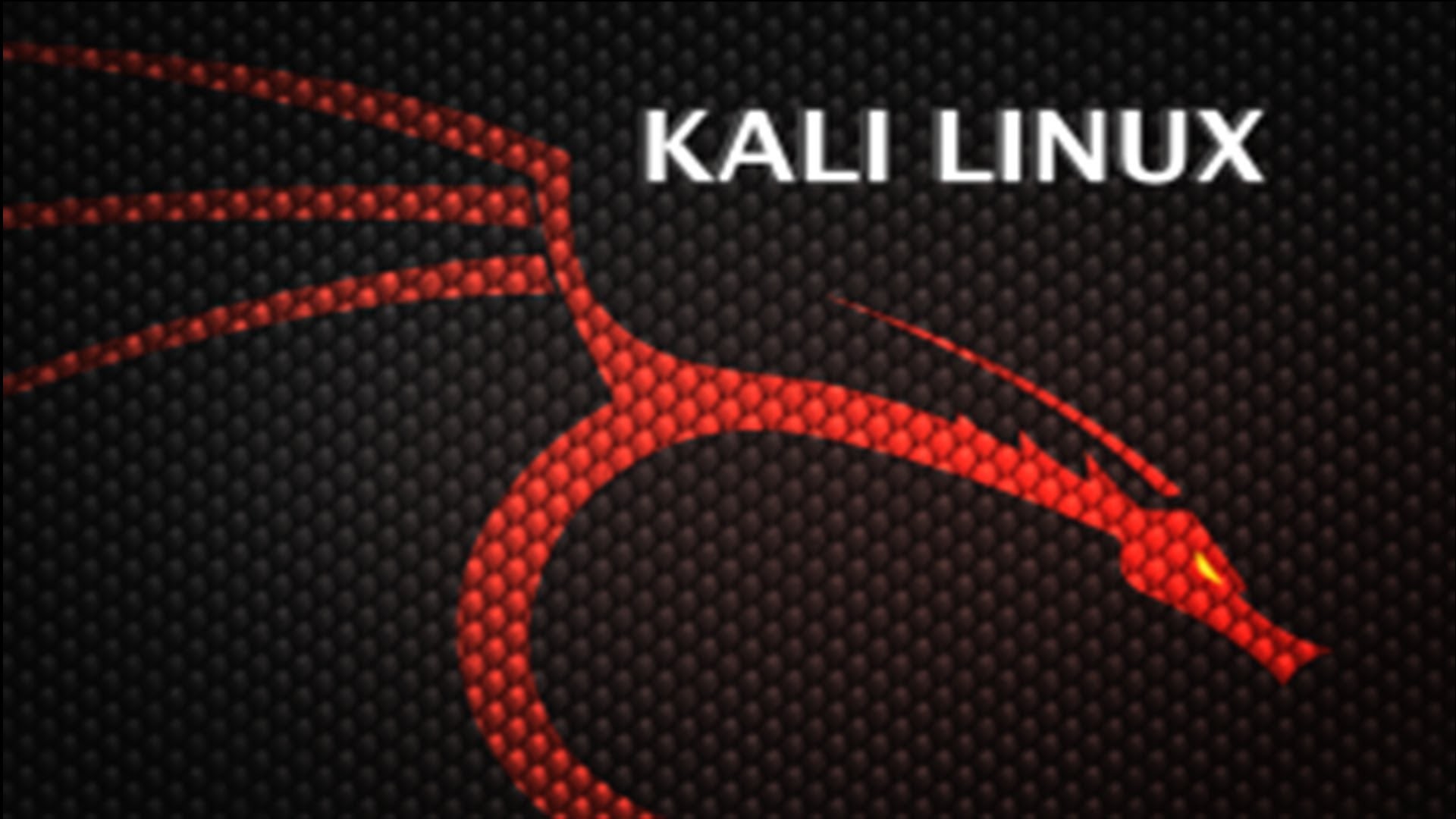1920x1080 Download] Kali Linux Cookbook Worth $24 For FREE