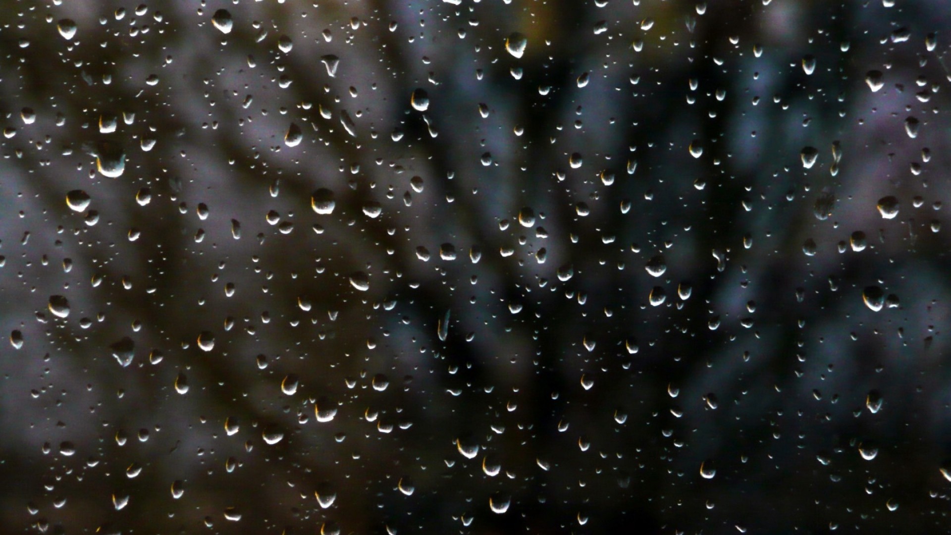 1920x1080 rain, window, glass
