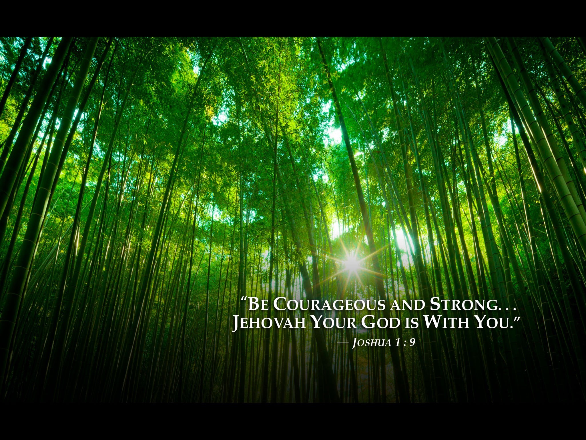 2050x1540 jehovah witnesses wallpaper jehovah witnesses wallpaper