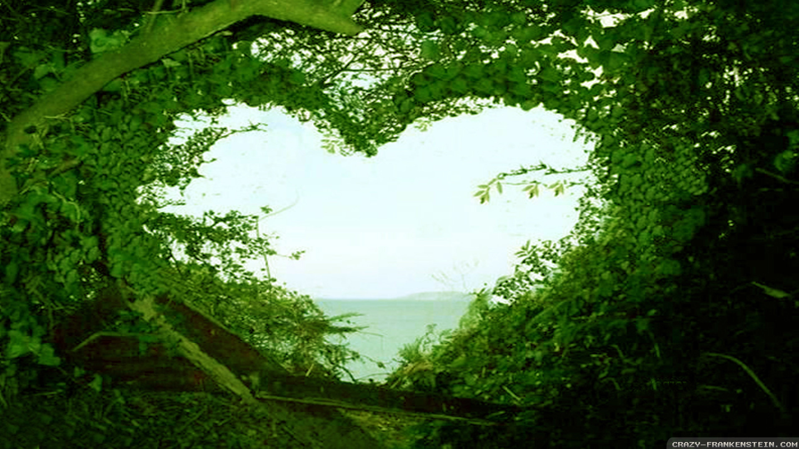 2560x1440 beautiful love wallpapers for mobile beautiful-love-nature-wallpaper -hd-desktop