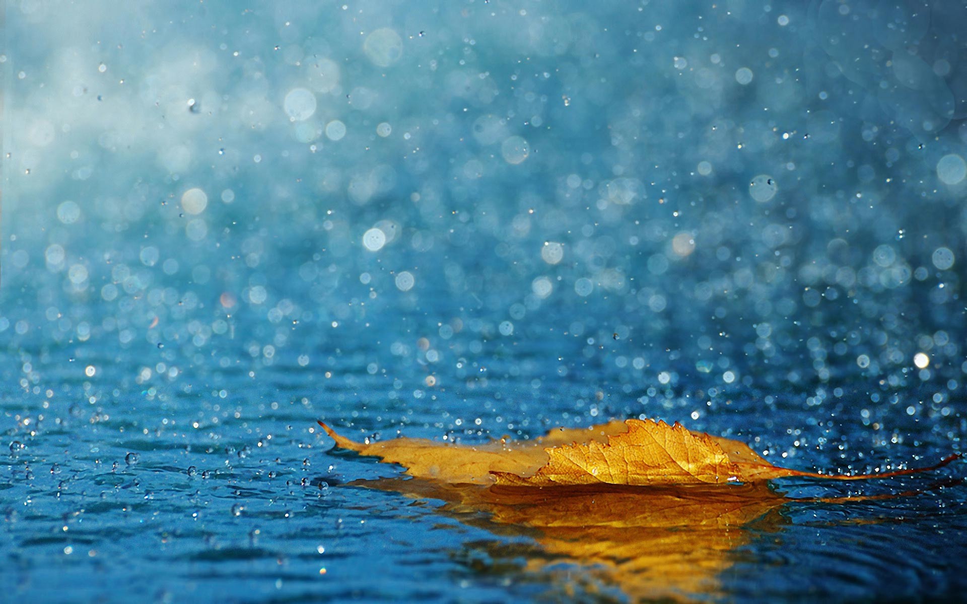 1920x1200 Rain Wallpapers Background For Desktop Wallpaper 1920 x 1200 px 692.31 KB  animated season drops quotes