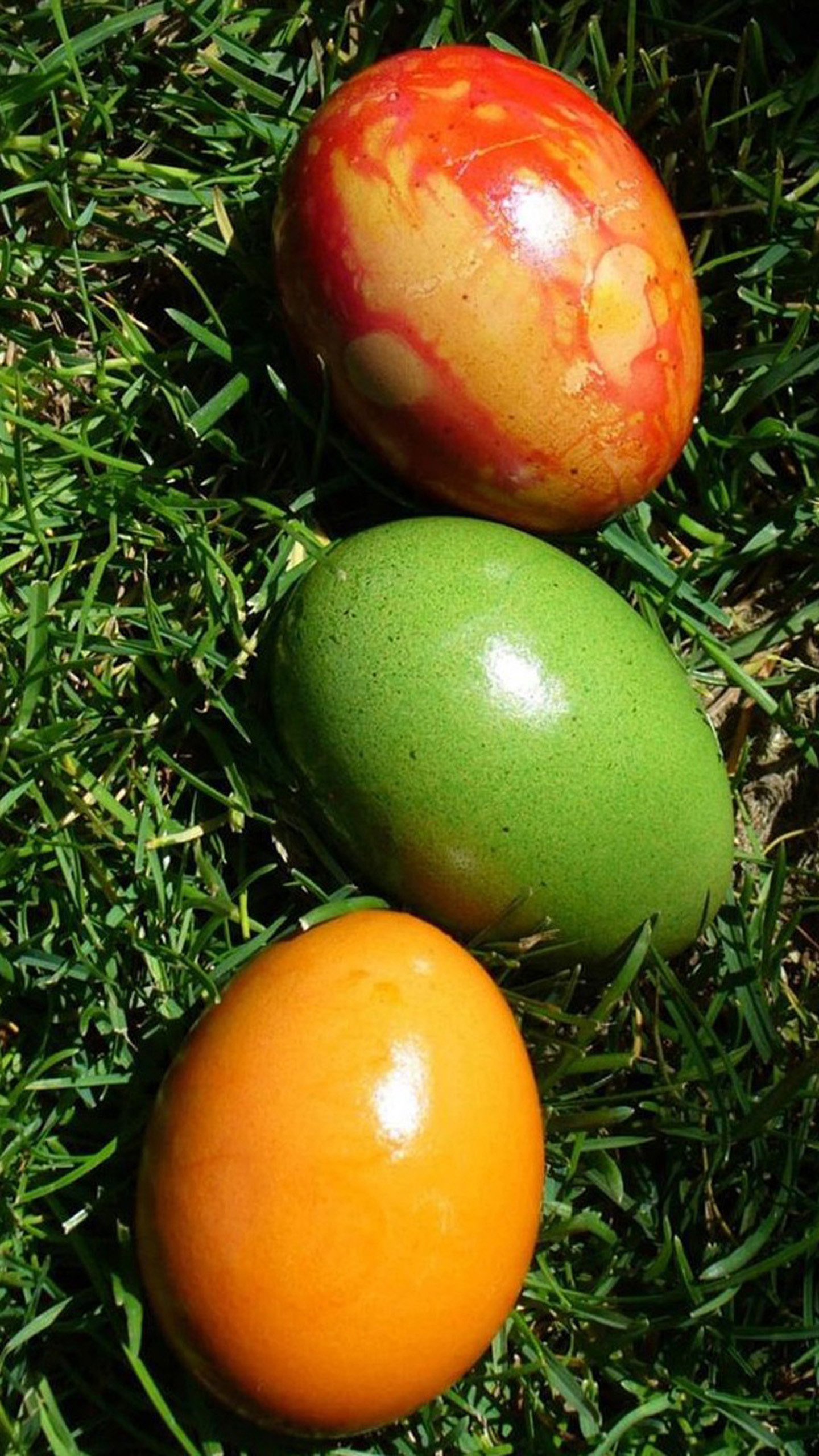 1440x2560 Three color eggs LG G3 Wallpapers