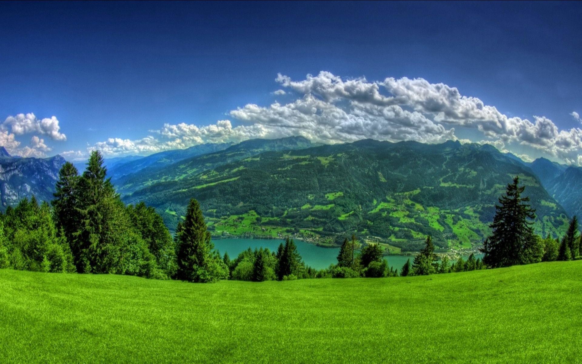 1920x1200 Backgrounds Nature Hd Hd Pictures 4 HD Wallpapers