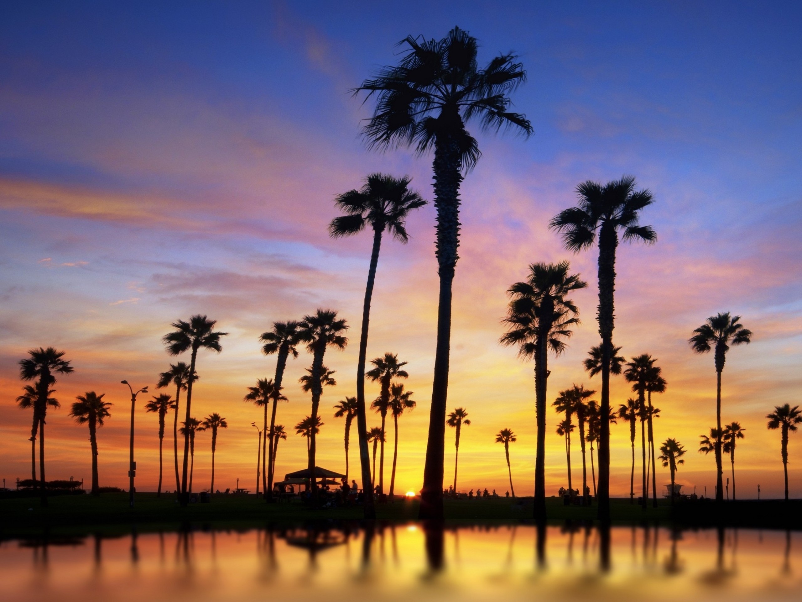 2560x1920 Beautiful Palm Trees Sunset Picture 9478 Wallpaper