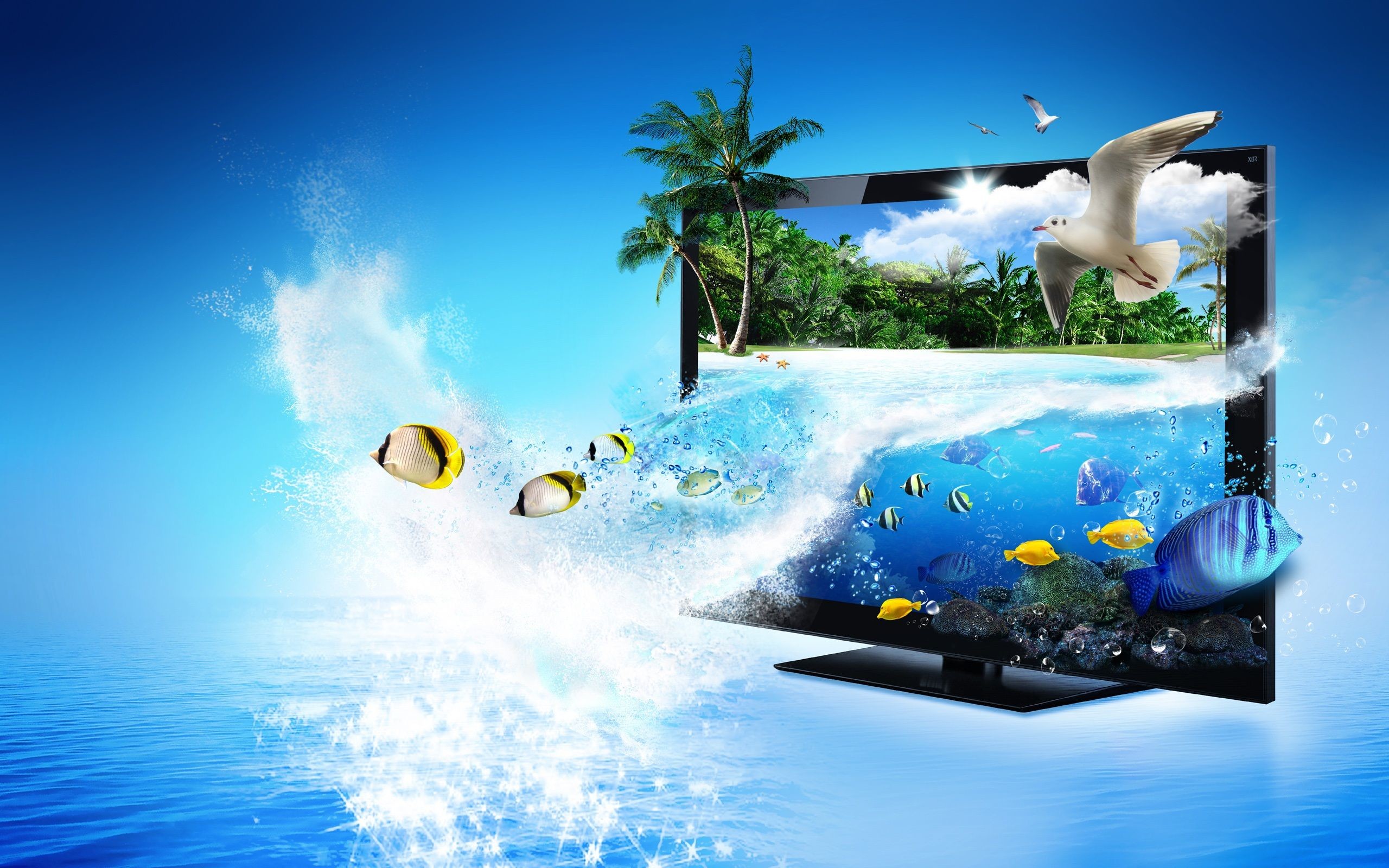 2560x1600 Monitor 3D Creative Advertising, sea, tropical fish, palm trees .